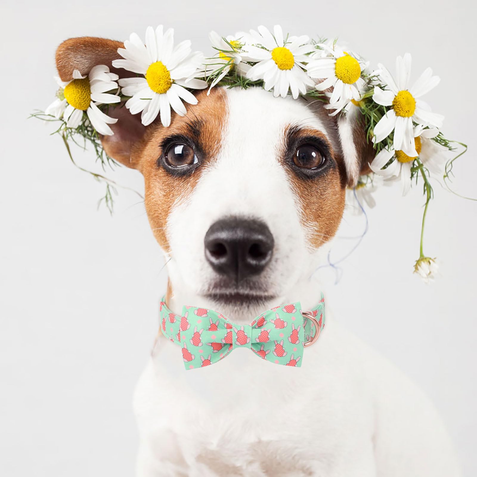 Babole Pet Dog Collar With Easter Bunny Egg Pattern Bow Tie - Adjustable Heavy Duty Spring Bowtie Collar For Small Medium Large