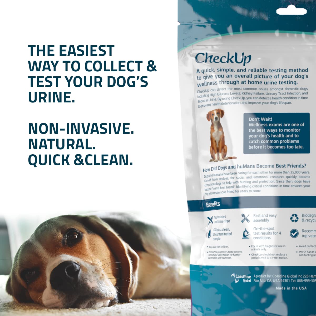 CheckUp Kit at Home Wellness Test for Dogs | Telescopic Pole, Detachable Cup & 2 Test Strips | Detects 4 Most Common Pet Health