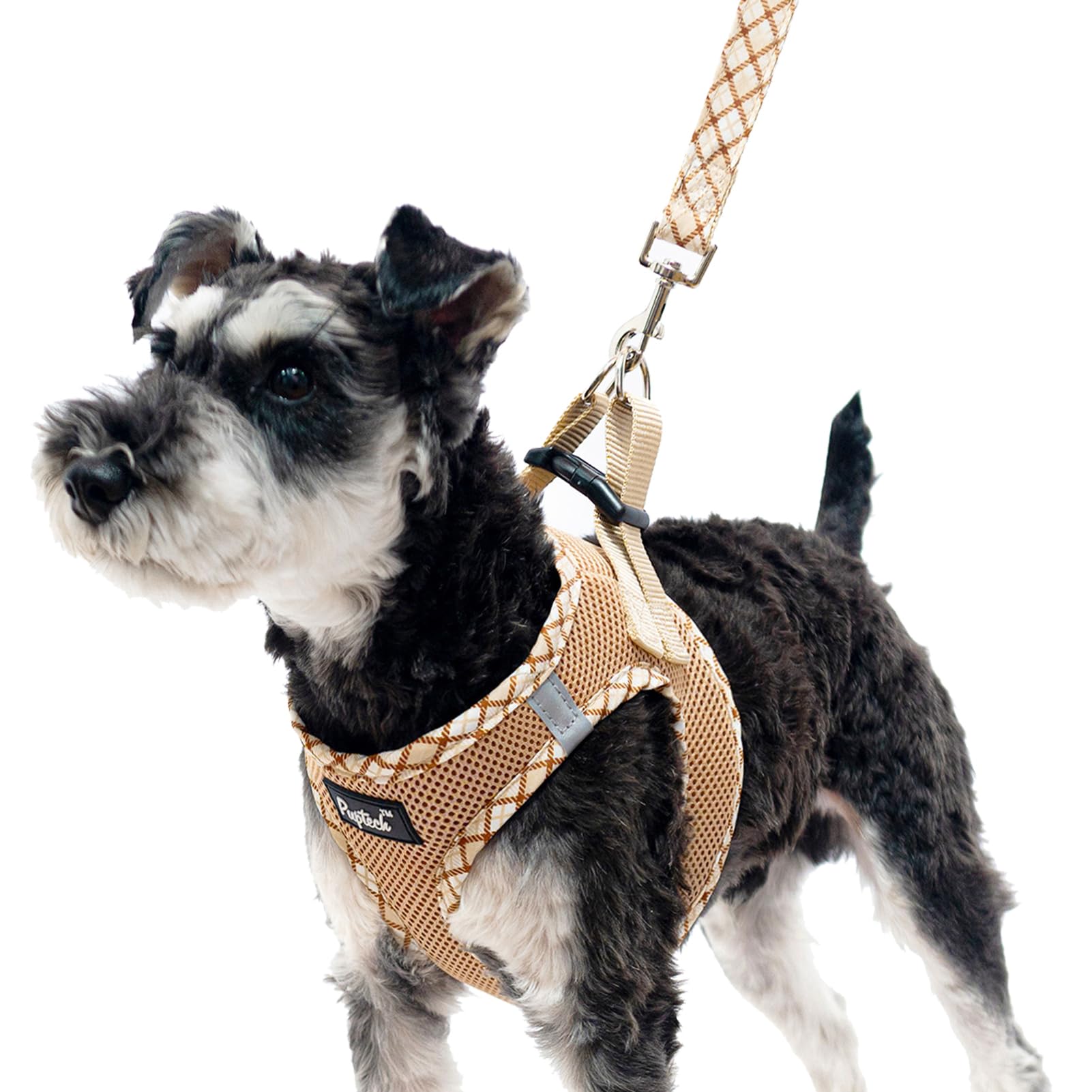 Pupteck Dog Harness And Leash Set For Small Medium Dogs No Pull Step-In Soft Mesh Puppy Cat Vest Harnesses Reflective At Night, Beige Xs