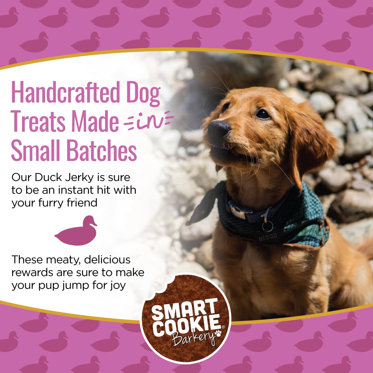 Smart Cookie Duck Jerky Dog Treats with Flax Seed, Omega Oils- Hypoallergenic Strips for Dogs and Puppies with Allergies, Sensit