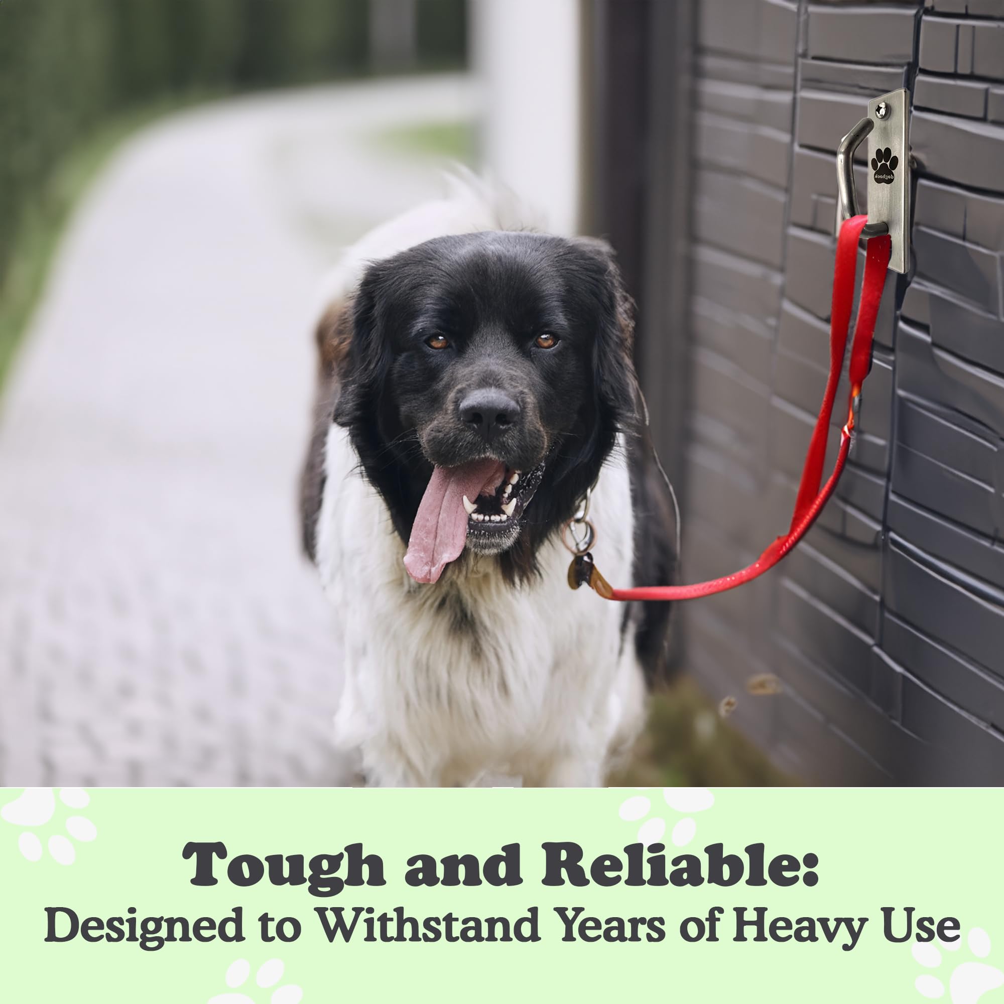Canine Hitch- Secure Dog Leash Parking Mounted Indoor – Outdoor Wall Hook - Tie Out Stainless Steel Practical Lead Management For Home & Business, Slim Compact