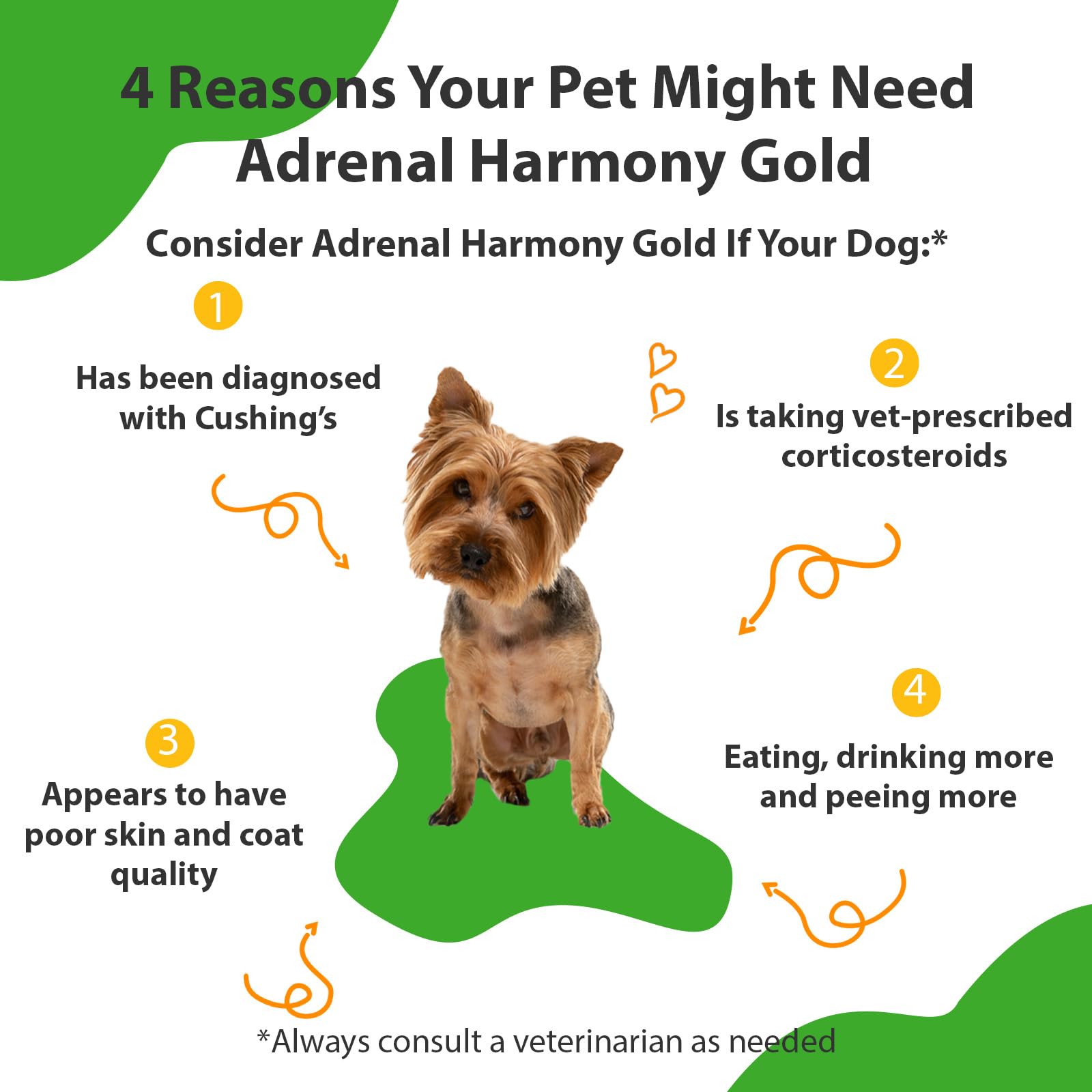 Pet Wellbeing Adrenal Harmony Gold for Dogs - Supports Adrenal Function & Normal Cortisol Levels with Ashwagandha & Bacopa - NAS