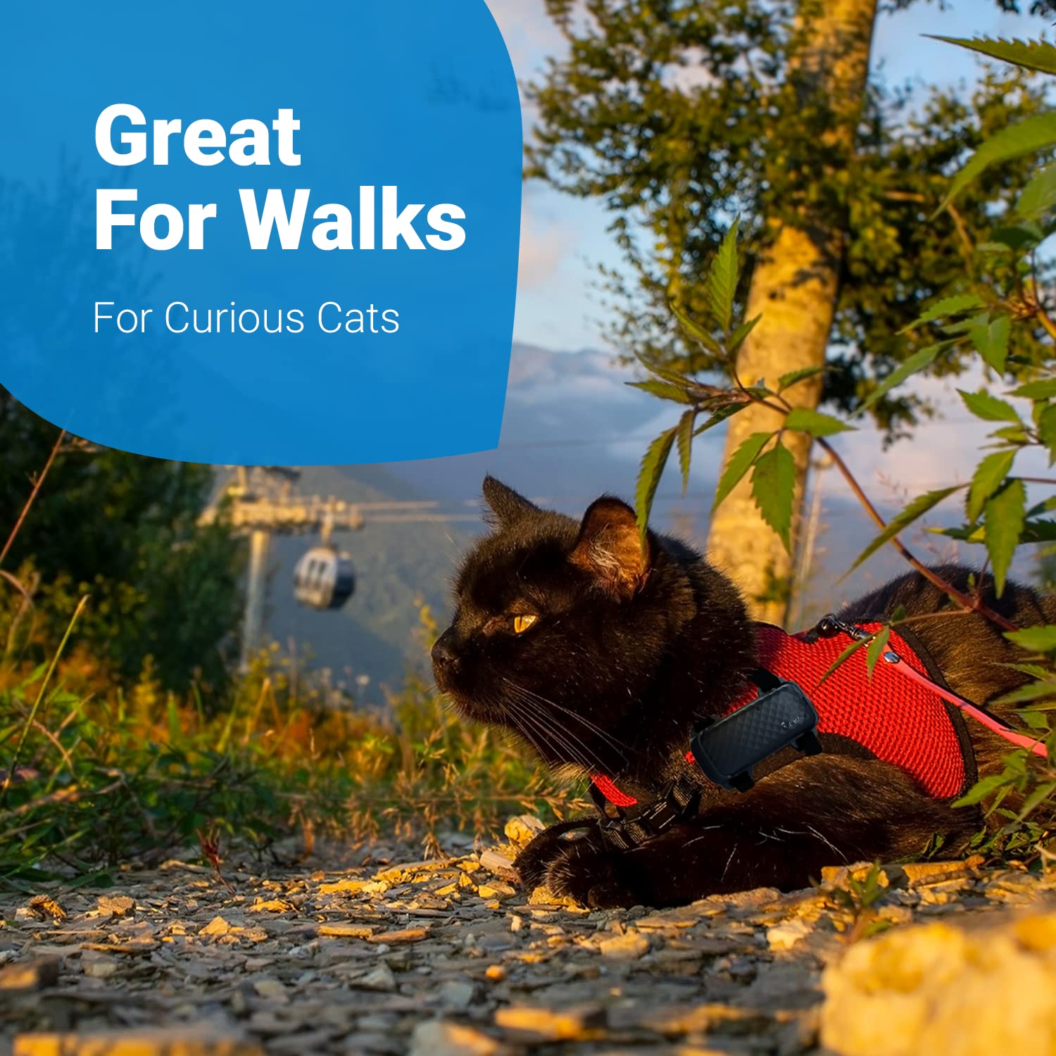 Tractive GPS Cat 4 Tracker Harness Attachment, for Cat Walks with Peace of Mind, hook and loop Straps, Black