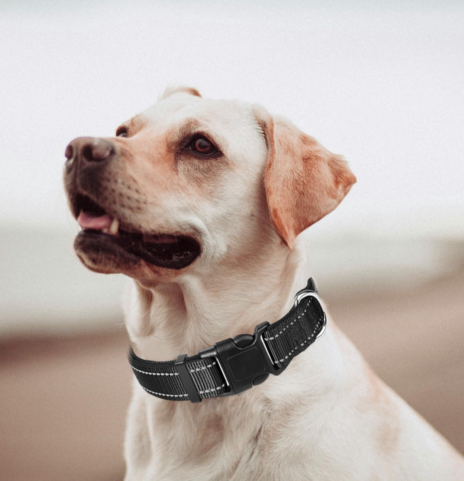 Large Dog Collar, Reflective Pet Collar With Buckle Adjustable Safety Nylon Collars For Small Medium Large Dogs, Black