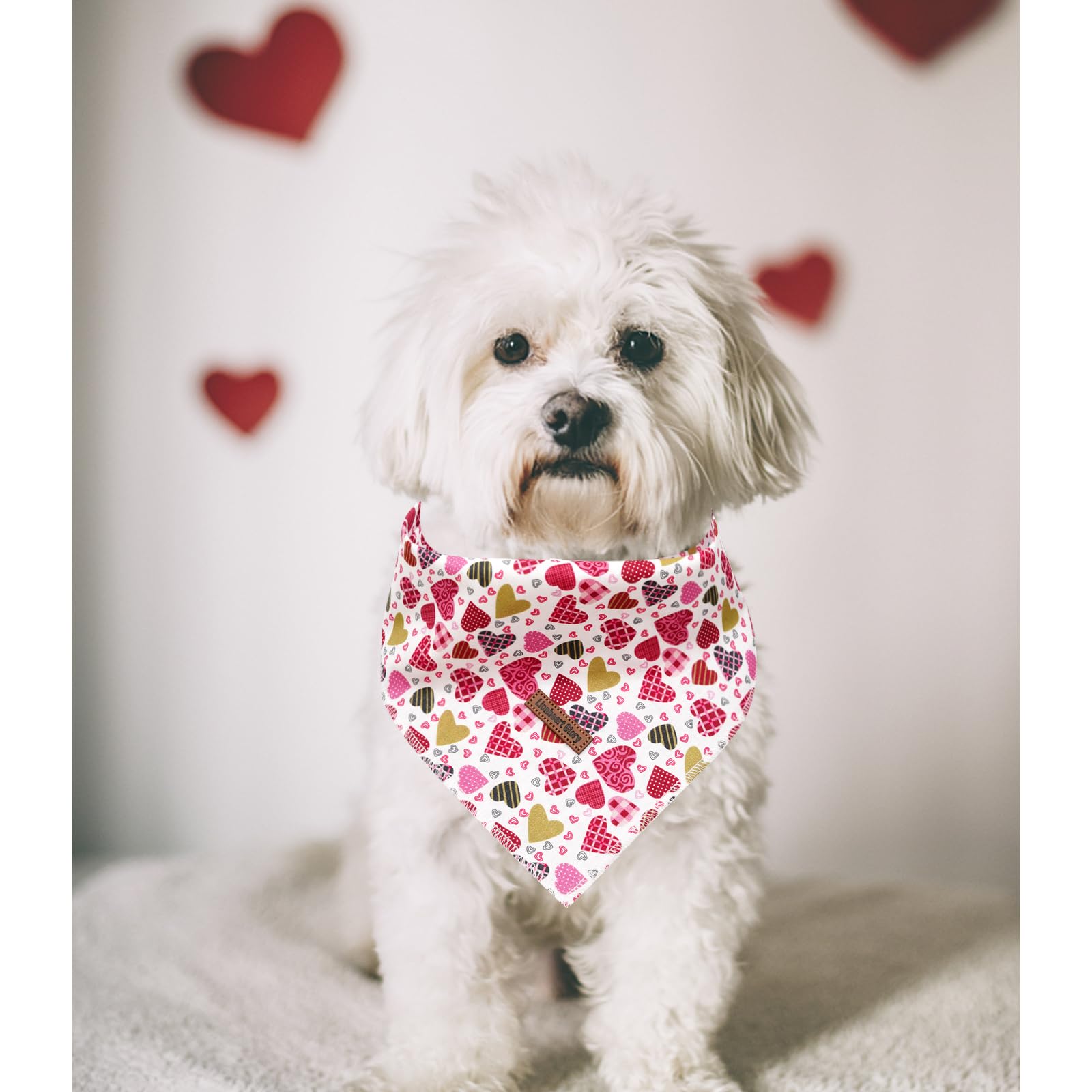 Lionheart Glory Valentine Dog Bandana - Soft Washable Square Adjustable Dog Scarf, One Size Fits Medium To Large Dogs