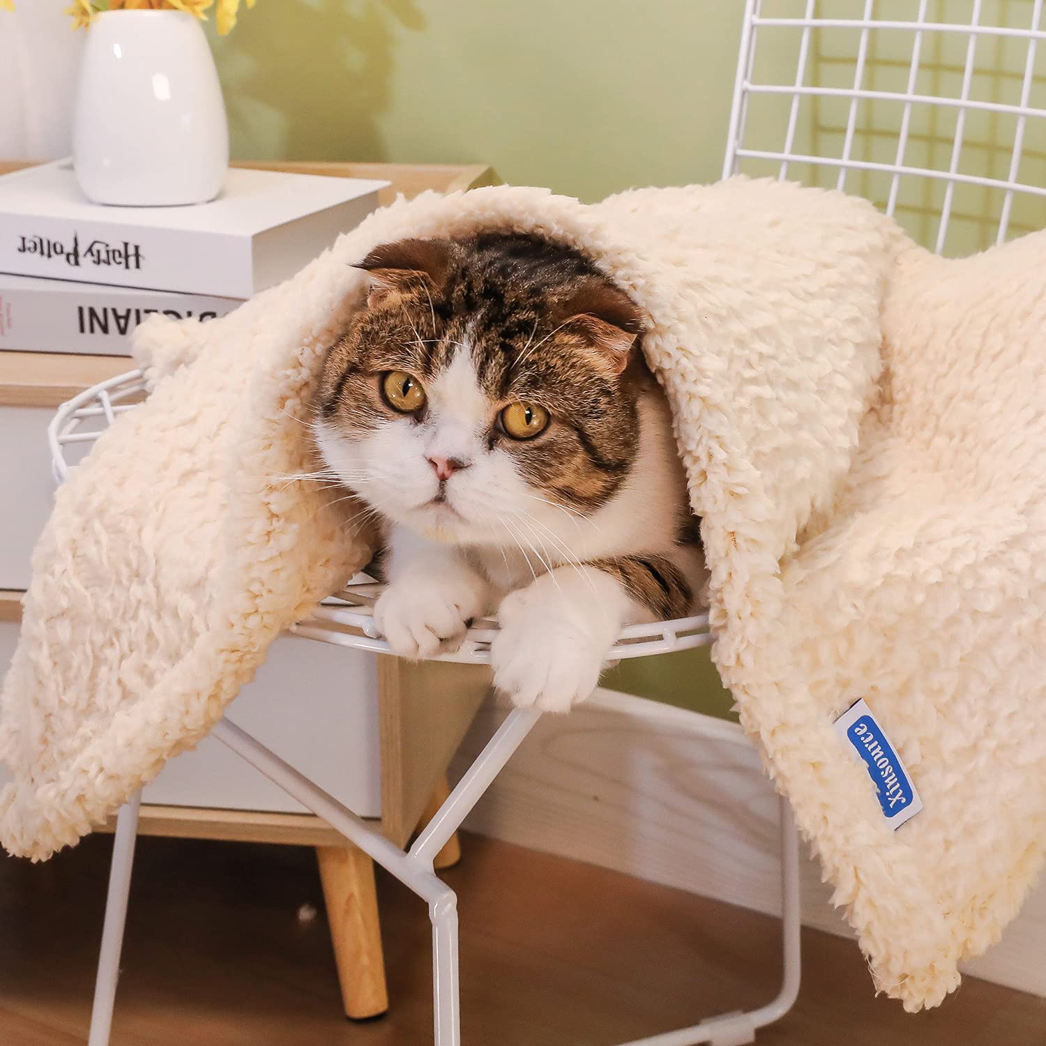Xinsource 2 Pack Dog Blanket For Large Size Dogs Cats Soft Sherpa Fleece Pet Blanket Throw For Sofa, Couch Thick Durable Pet Bed