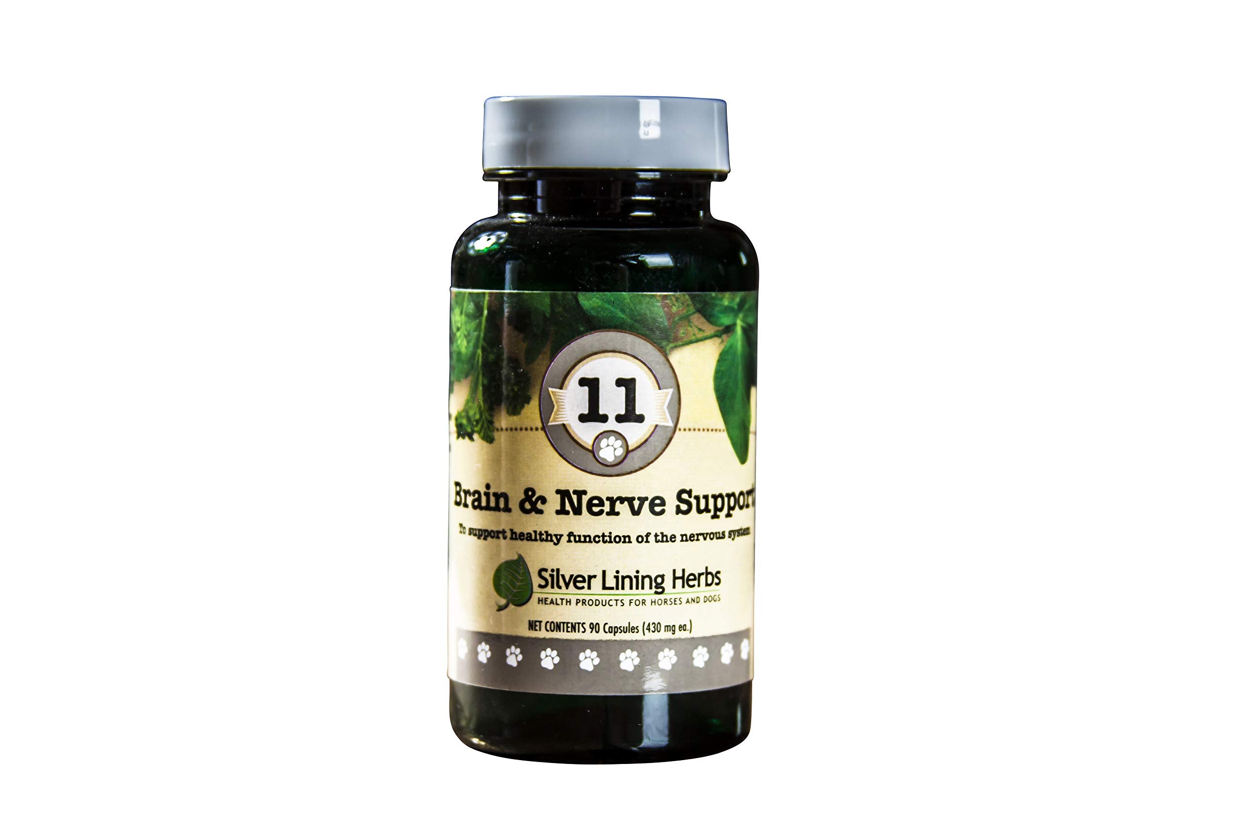 #11 BRAIN & NERVE SUPPORT