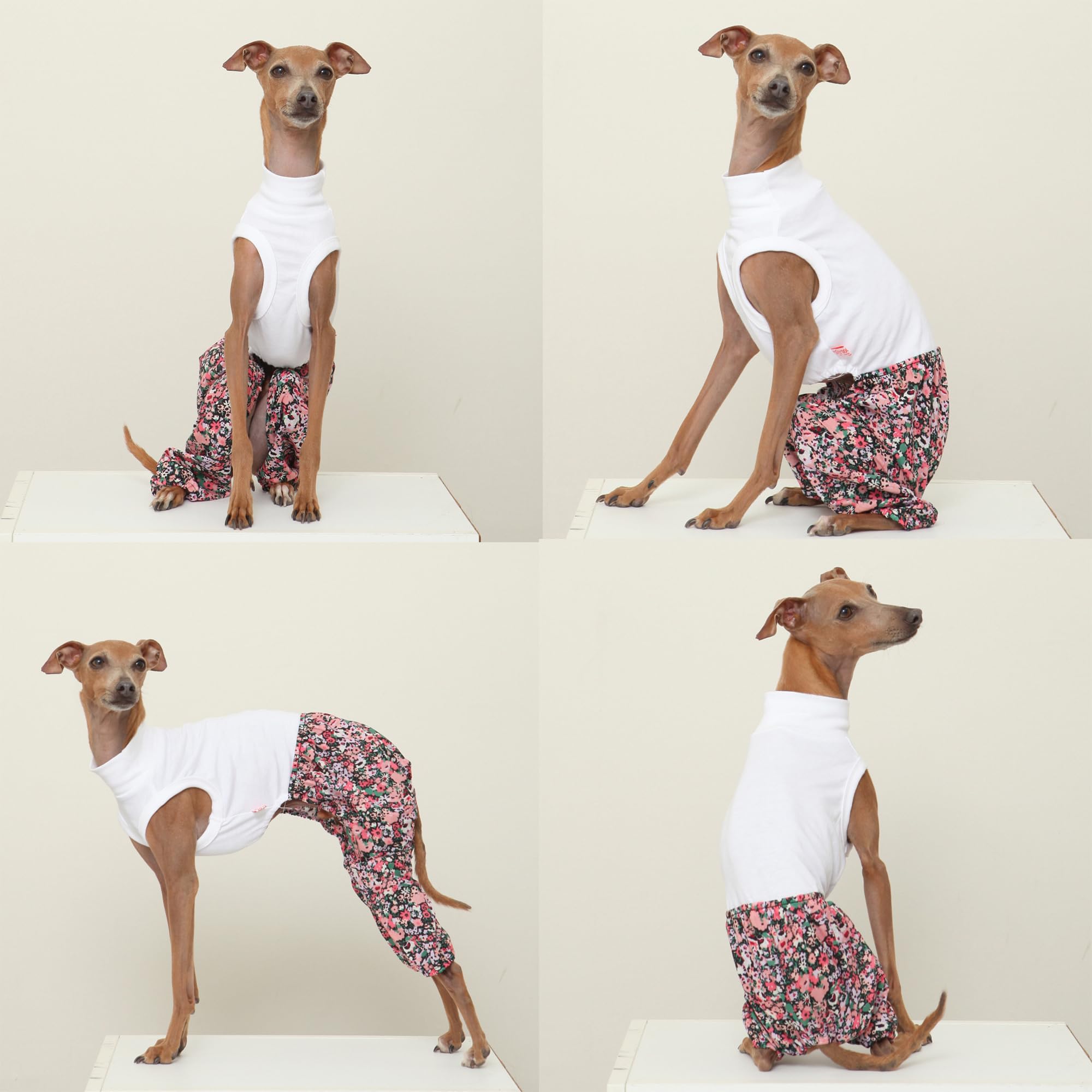 D Doggy Star Italian Greyhound Clothes Mombbe Onesie Outfit Whippet For Dog Coat (M,Mombbe Black)