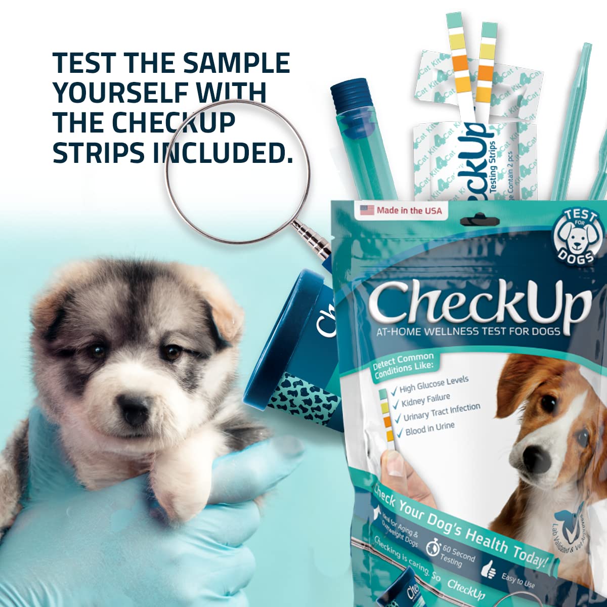 CheckUp Kit at Home Wellness Test for Dogs | Telescopic Pole, Detachable Cup & 2 Test Strips | Detects 4 Most Common Pet Health