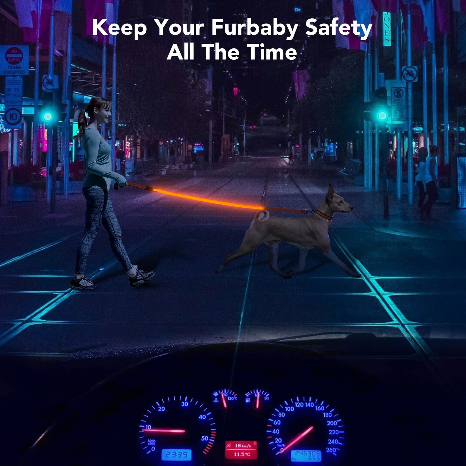 Colaseeme Led Dog Leash Light Up Dog Leash 4 Feet Micro Usb Rechargeable Nylon Webbing Glow Safety Standard Dog Leashes For Dogs (Orange With 3 Reflective Wires)
