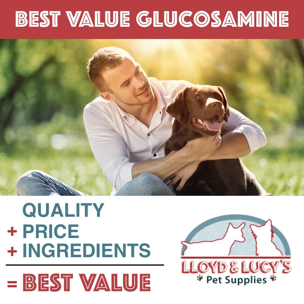 Lloyd & Lucys Hip and Joint Supplement for Dogs - Chewable Multivitamin with Glucosamine, Chondroitin, MSM and Vitamin C - Heal