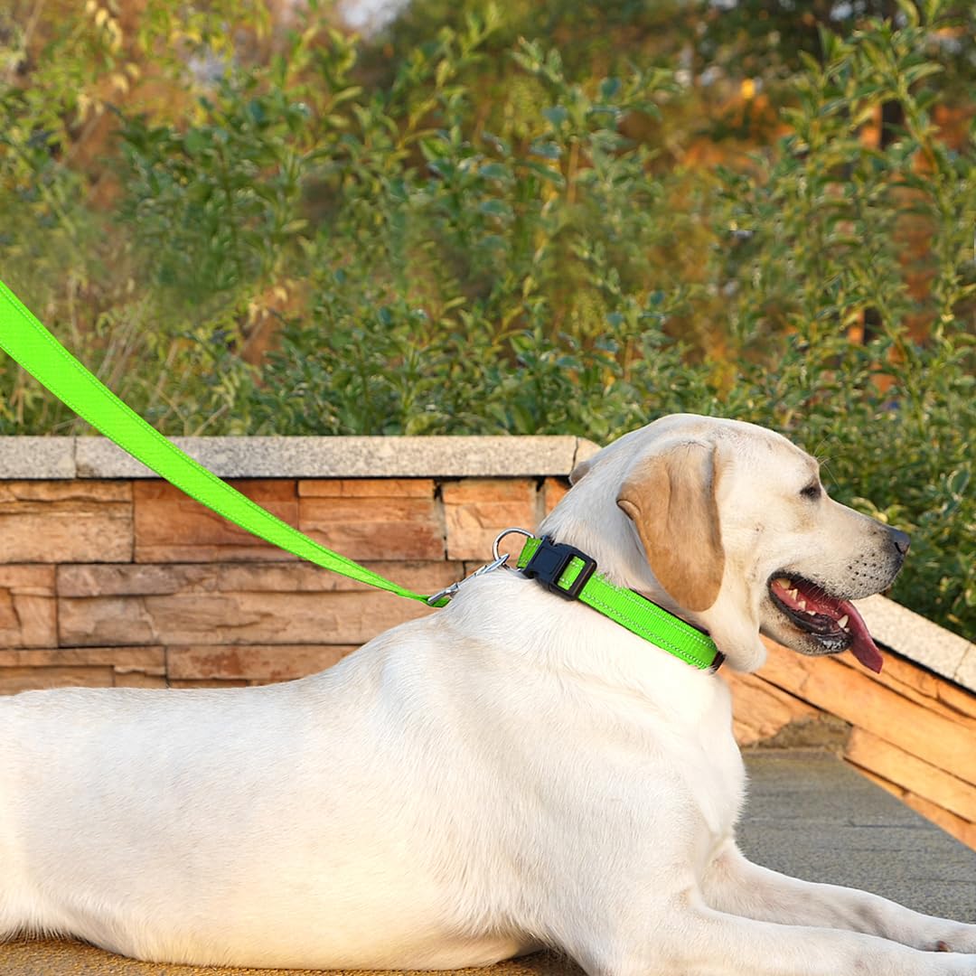 Penseepet Dog Leash 6 Ft Padded Handle Nylon Reflective Dogs Leashes For Small Dogs Puppy Green