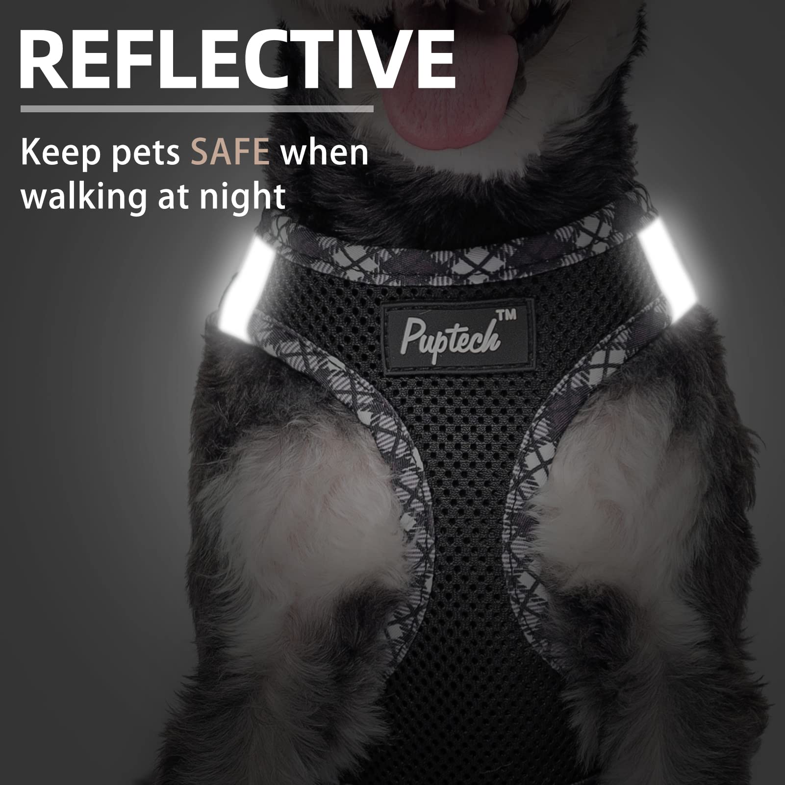 Pupteck Dog Harness And Leash Set For Small Medium Dogs No Pull Step-In Soft Mesh Puppy Cat Vest Harnesses Reflective At Night, Black M
