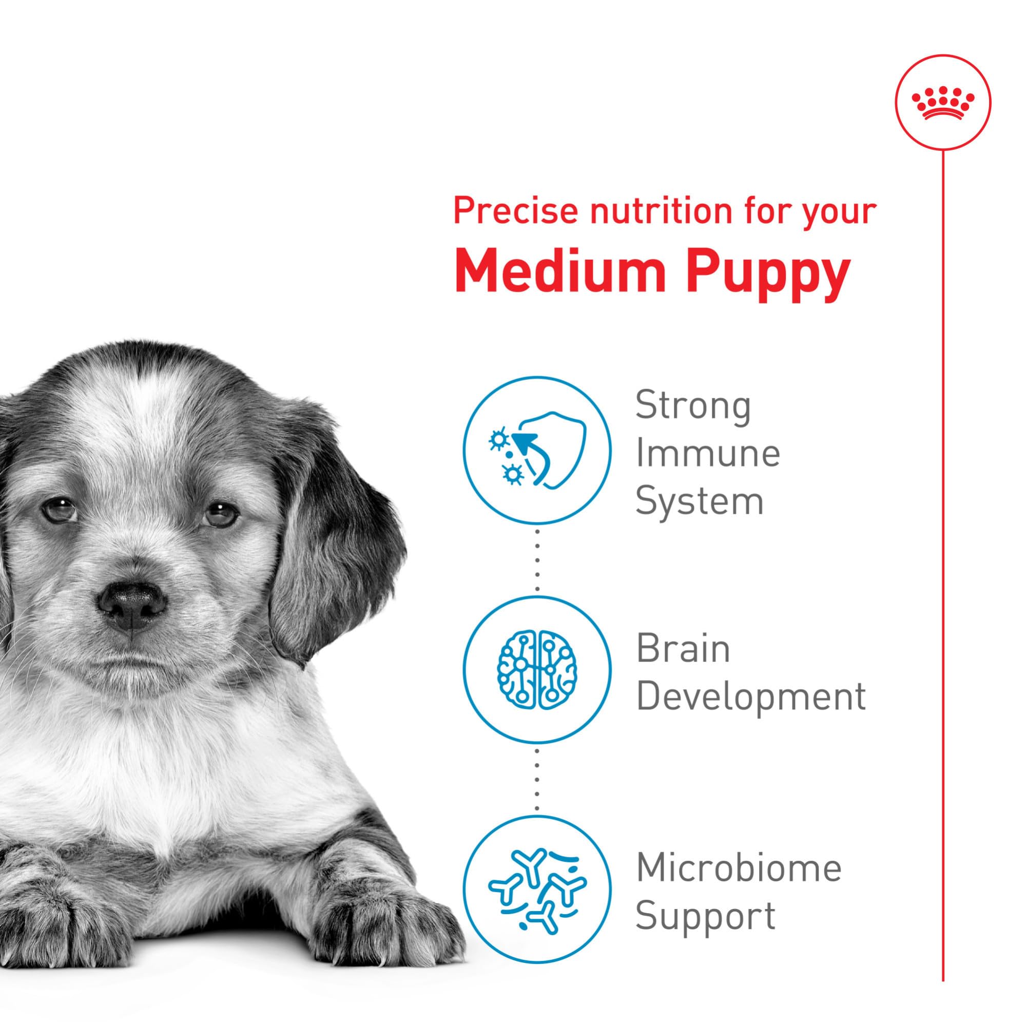 Royal Canin Size Health Nutrition Medium Breed Dry Puppy Food, Supports Brain Development, Immune Support and Digestive Health,