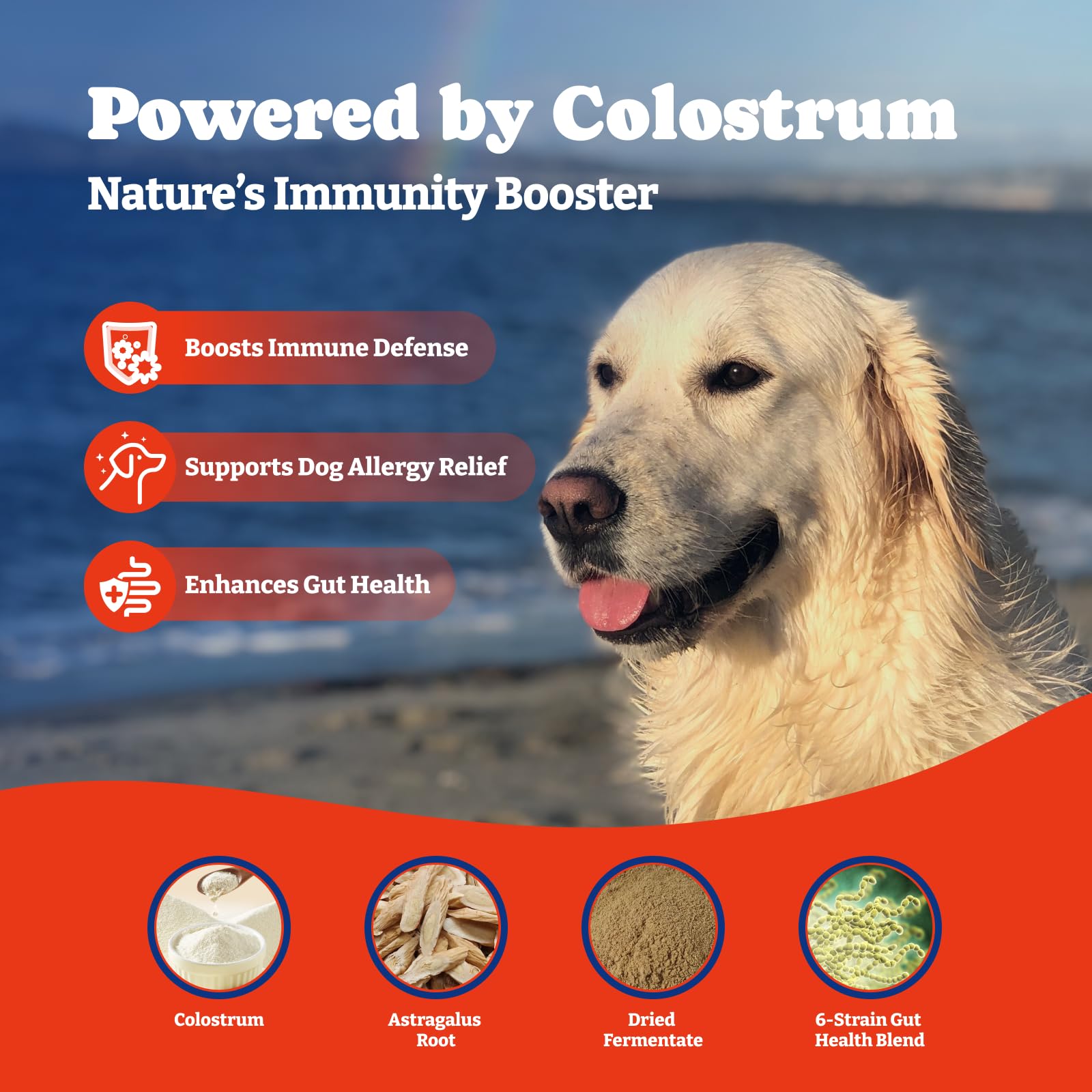 YoYoBay Dog Allergy Relief Chews - 70 Soft Chews, Turkey & Pumpkin Flavor - Immune Support & Itch Relief with Colostrum, Astraga