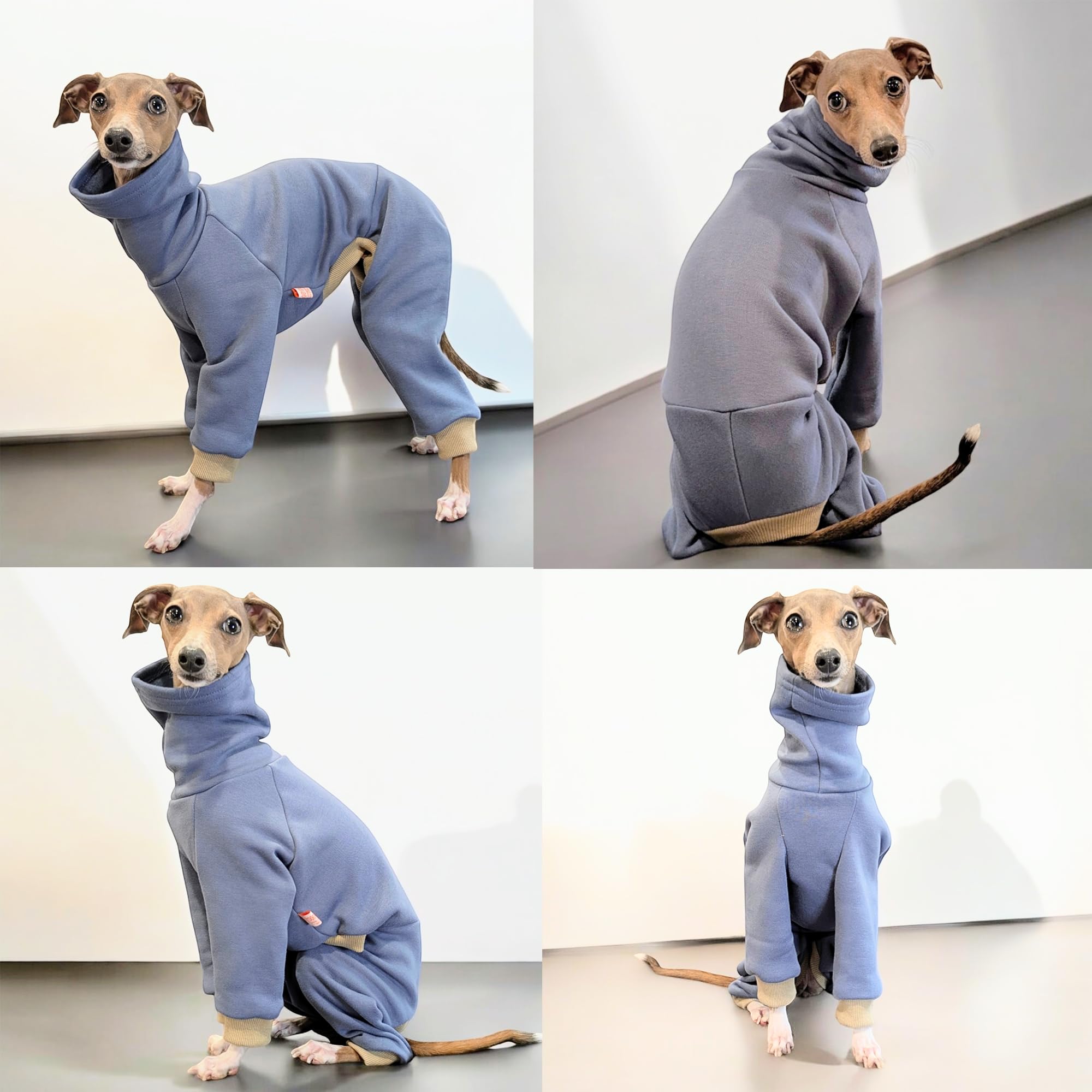 D Doggy Star Italian Greyhound Clothes Strechy Fleeced Lining Simple Onesie Whippet For Dog Coat (2Xl,Simple Blue)
