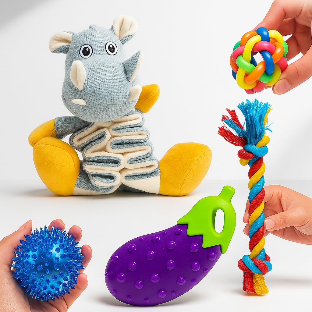 BLACKDOG Puppy Teething Toys for Small Dogs Under 20kg, Combo Pack of 5  Plush, Rope, Ball, LED Ball, Rubber Brinjal Squeak Toy