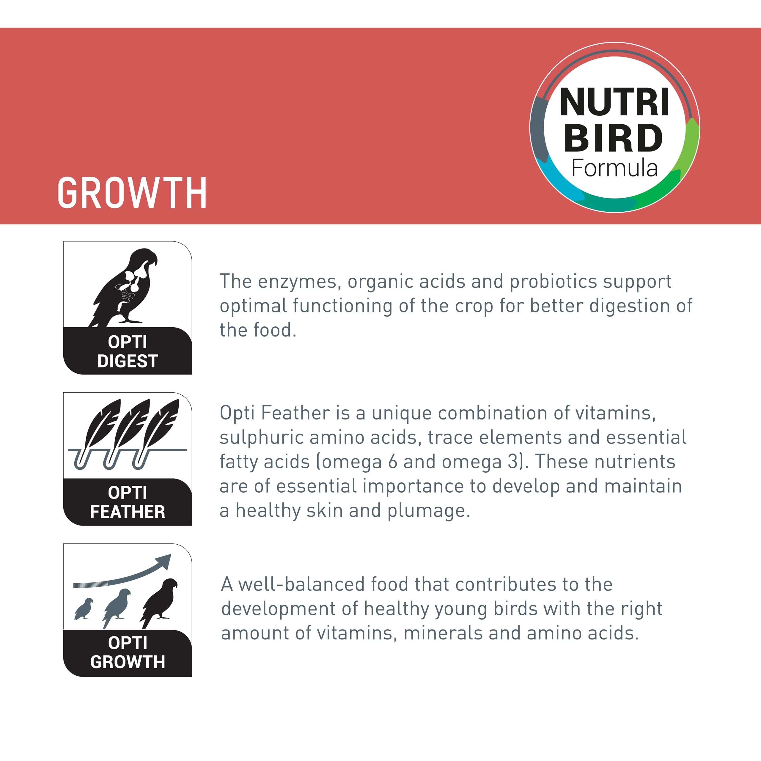 Versele Laga - Aliment   levage Oiseaux Exotiques - Nutribird A21 - 800 G