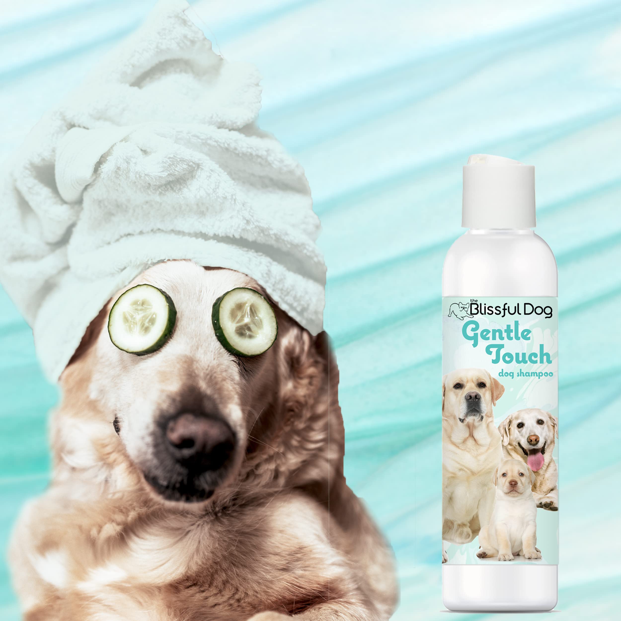 The Blissful Dog Gentle Touch Dog Shampoo, 8-Ounce
