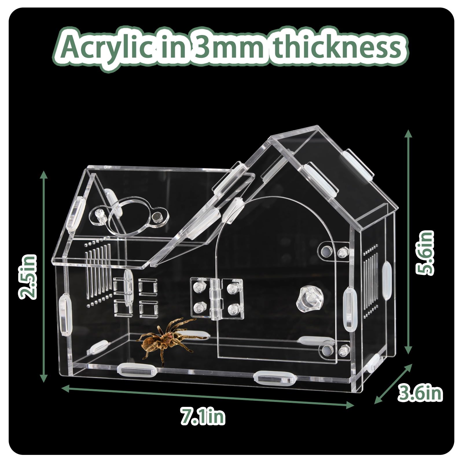 Acrylic Jumping Spider Enclosure with Magnetic Door - Transparent Tarantula Terrarium for Pet Spiders - Secure & Ventilated Rept