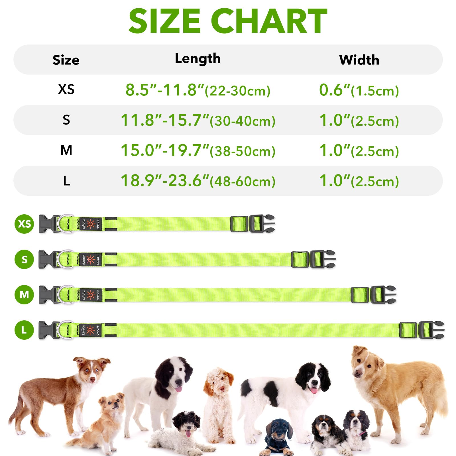 Illumifun Light Up Dog Collar, Usb Rechargeable Led Dog Collar Adjustable Glow In The Dark Pet Collar Safety Dog Lights For Night Walking (Green, Medium)