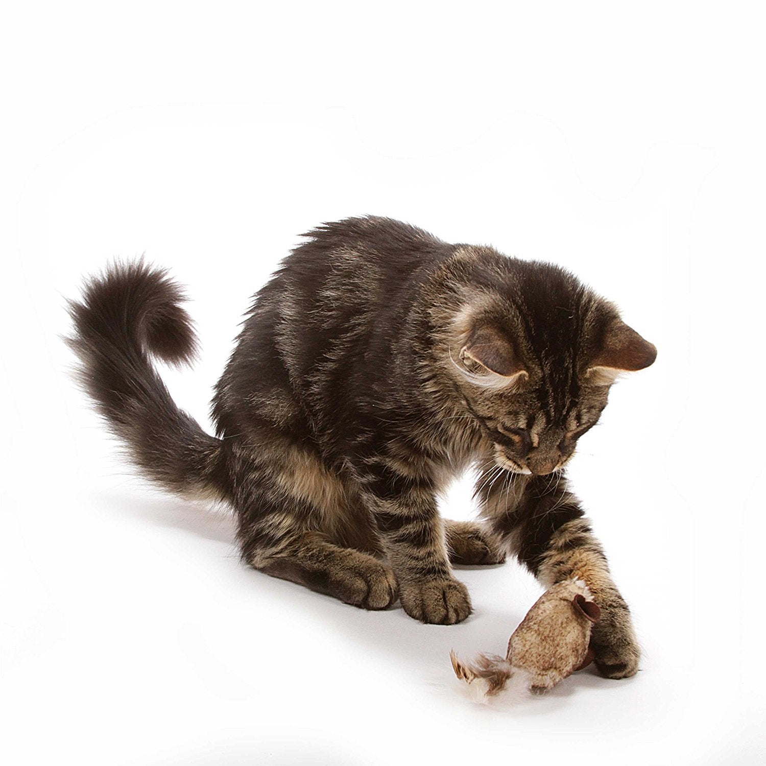 Ourpet'S Play-N-Squeak Twice The Mice Cat Toy, 2Pc (Interactive Catnip Toy, Real Mouse Electronic Sound)