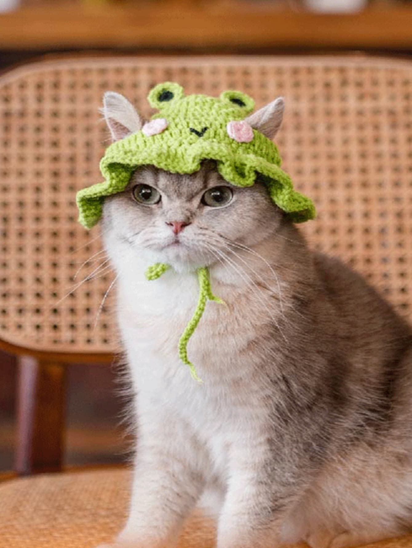 Qwinee Cartoon Design Knit Cute Dog Hat Soft Cat Hat Rabbit Hat Halloween Christmas Party Costume Head Wear Accessories For Pupp