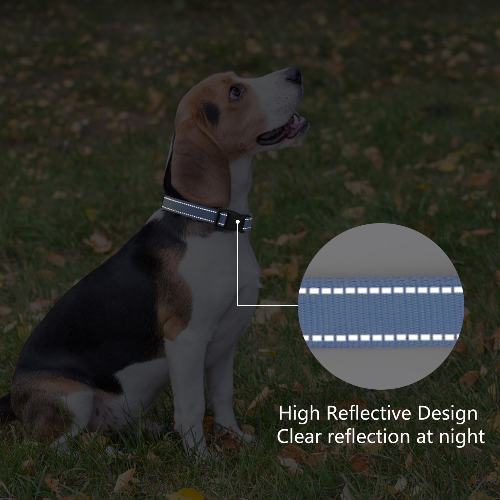 Penseepet Reflective Dog Collar Padded With Soft Neoprene Breathable Quick Release Basic Dog Collars For Puppy Small Dogs Boy Girl Blue