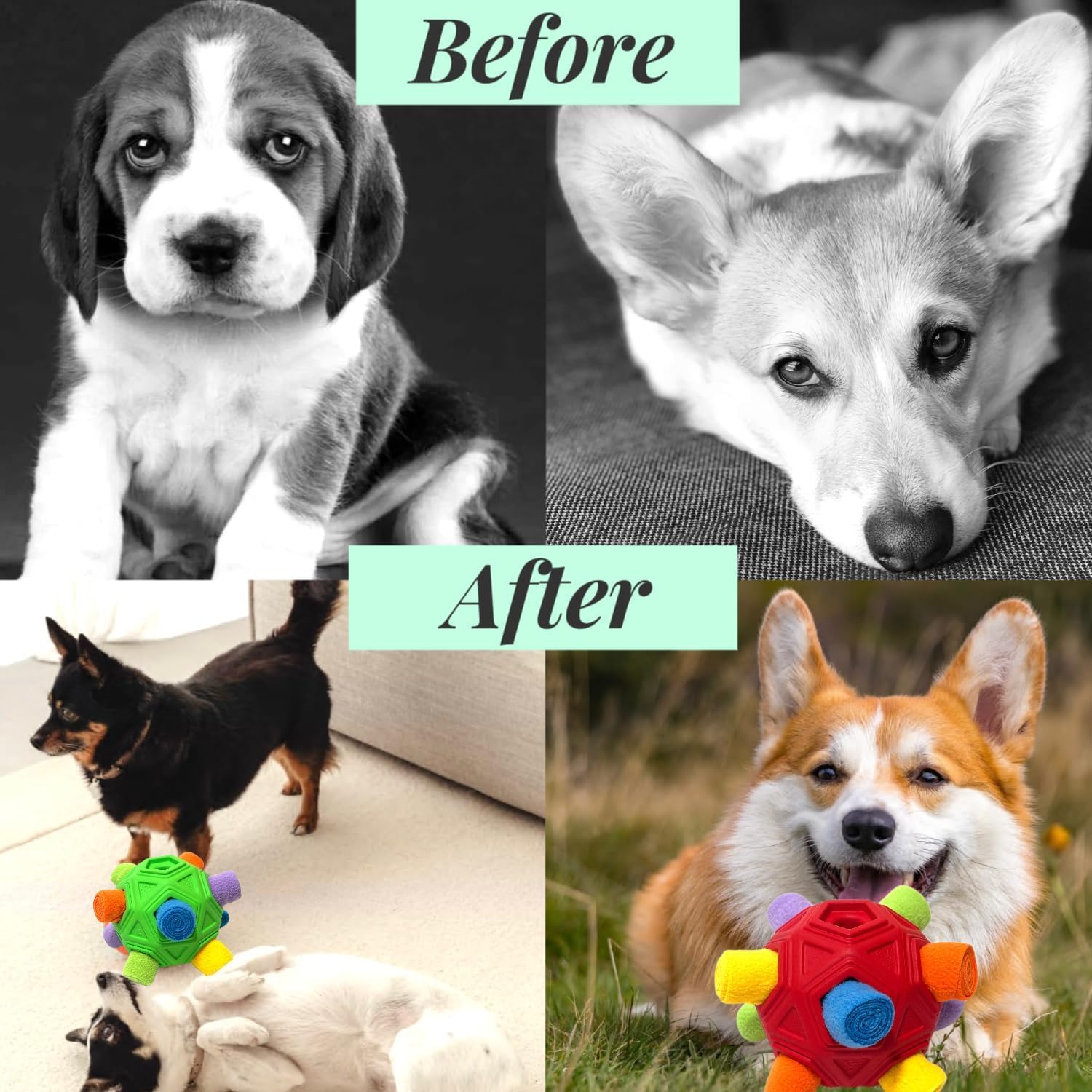 CIIVURR Snuffle Ball for Dog Toys Unbreakable Upgrade Ball Interactive Toy Foraging Snuffle Mat Puppy Treat Dispenser Slow Feede