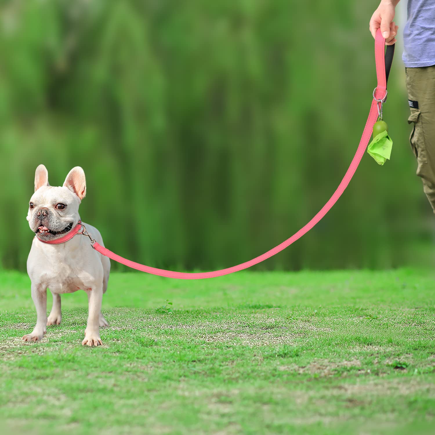 Joytale Double-Sided Reflective Dog Leash, 6 Ft/5 Ft/4 Ft, Padded Handle Nylon Dogs Leashes For Small & Medium Dogs Walking, Pink, 4Ft
