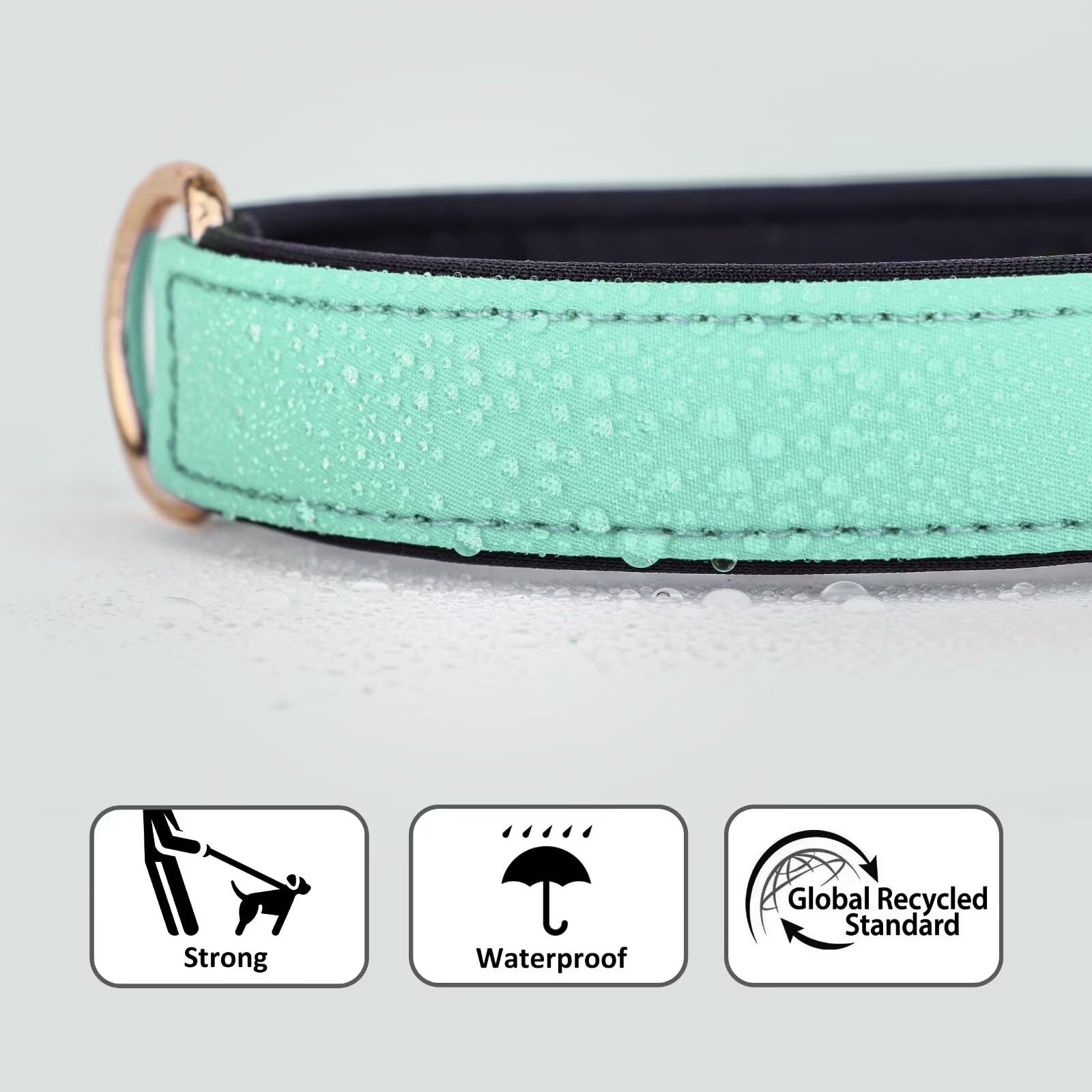 Didog Soft Padded Dog Collars For Medium Dogs, Lightweight And Breathable Dog Collar Waterproof With Metal Buckle, Green, L