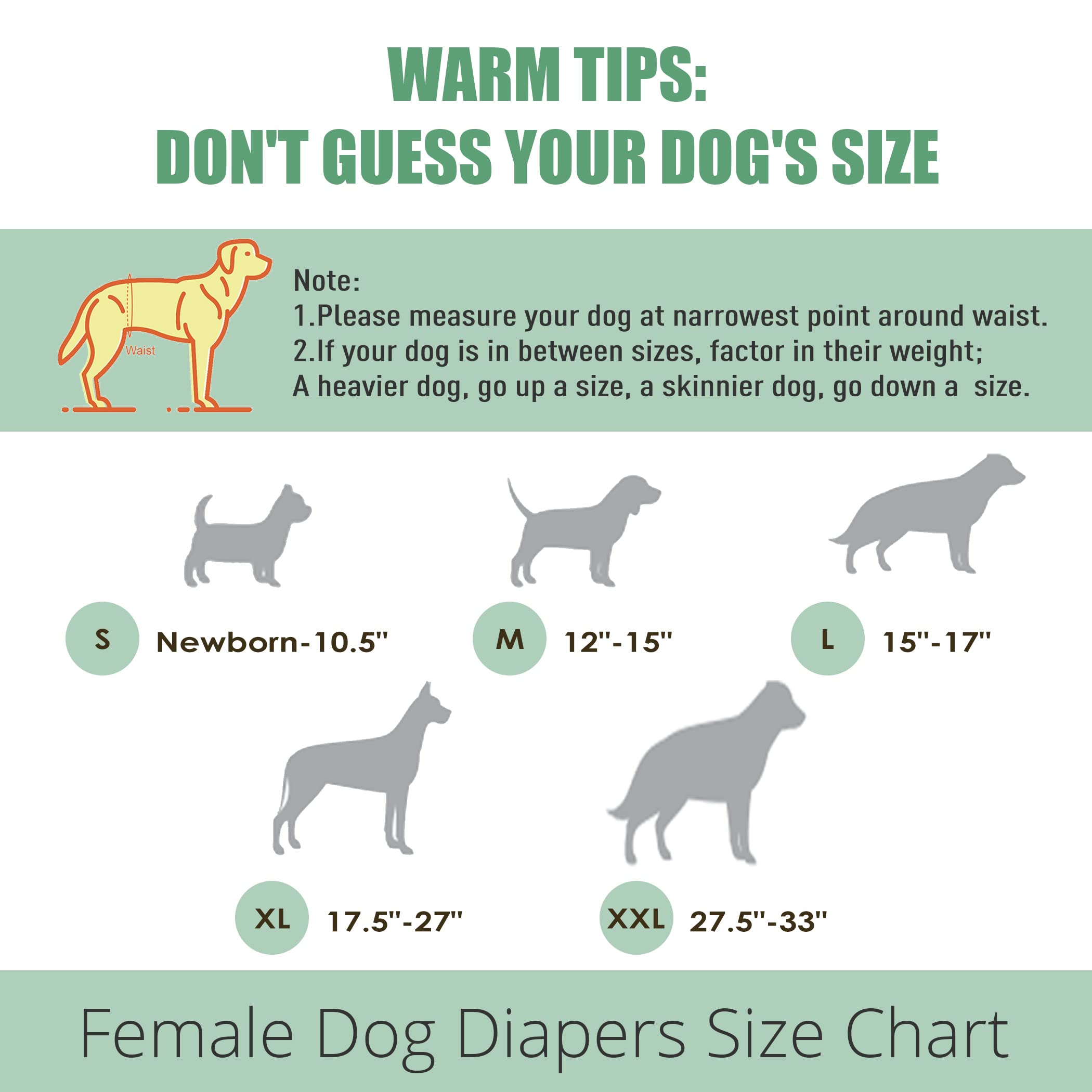 Wegreeco Washable Diapers for Female Dogs (3 Pack) - Highly Absorbent, for Dogs in Heat or Excitable Urination (Blue, Green, Red