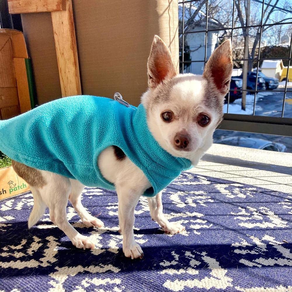 Gooby - Fleece Vest, Small Dog Pullover Fleece Jacket With Leash Ring, Turquoise, Large