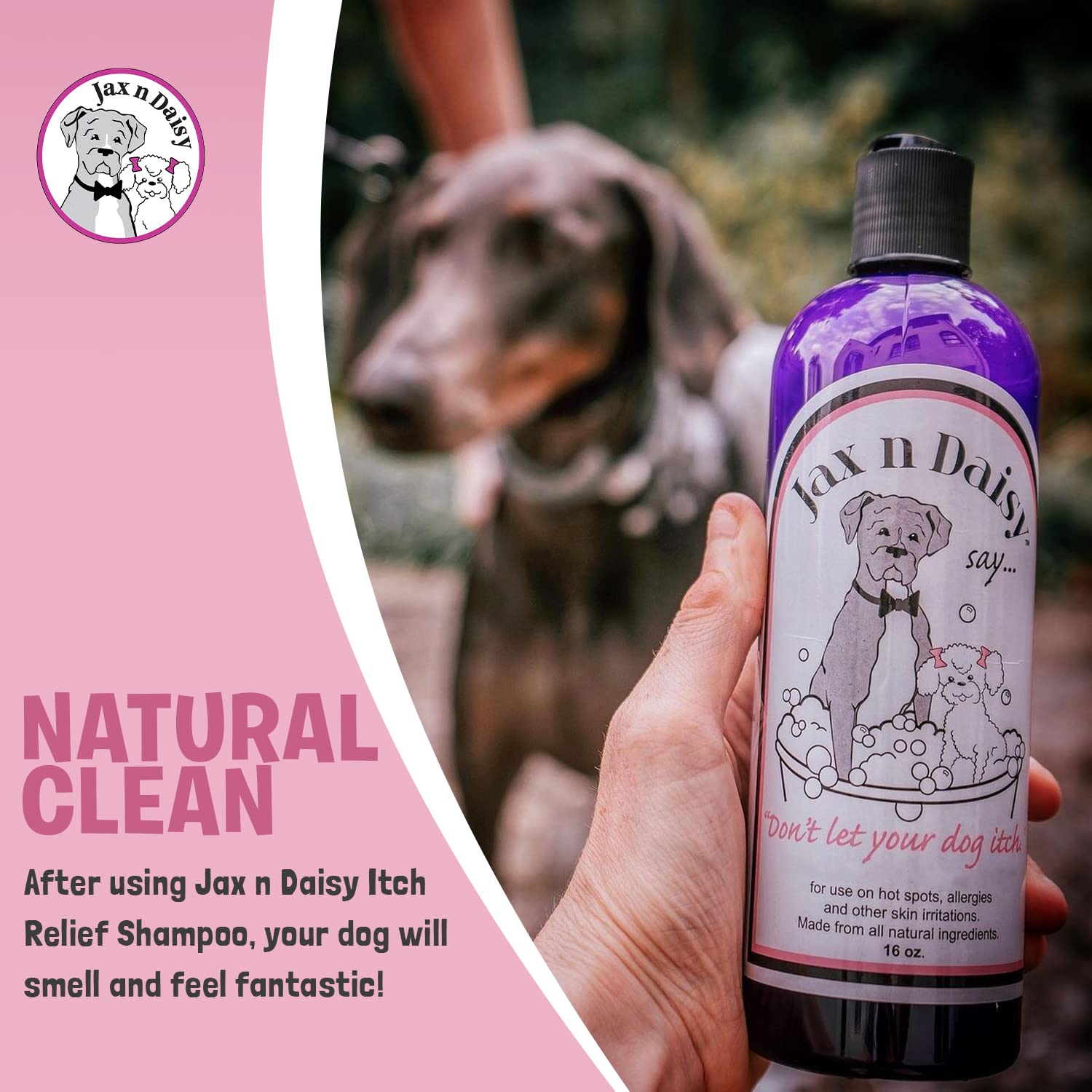 Jax N Daisy Dog Shampoo - Gentle Allergy Relief for Dogs - Eliminates Odors & Fleas - Soothes Itchy Skin - Perfect for Puppies!