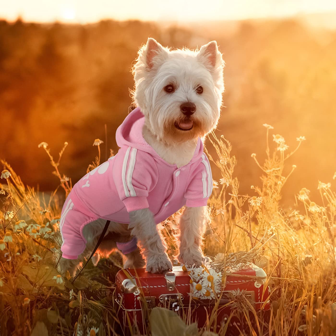 Otunrues Dog Hoodie, Dog Clothes 4 Legs Sweatshirt Security Hoodies Jumpsuit Soft & Warm Sweater Outfit Pullover Dog Winter Coat