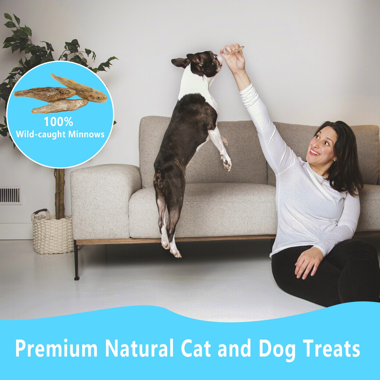 JADINGSFARM Minnows 2.8 oz Freeze Dried Minnows, 100% Natural Cat Treat, Dog Treat, Freeze Dried Minnows for Cats Freeze Dried M