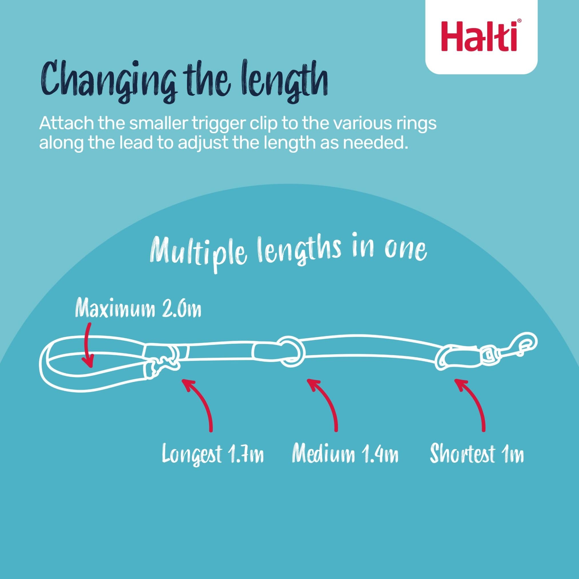 HALTI Optifit Headcollar Size Large & HALTI Training Leash Size Large, Black Combination Pack - Stop Your Dog Pulling on the Lea
