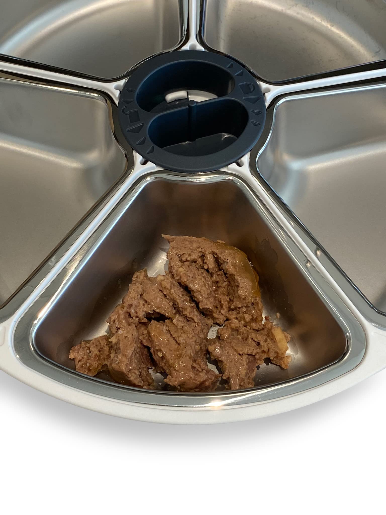 Closer Pets Five-Meal Automatic Pet Feeder with Stainless Steel Bowl and Ice Pack