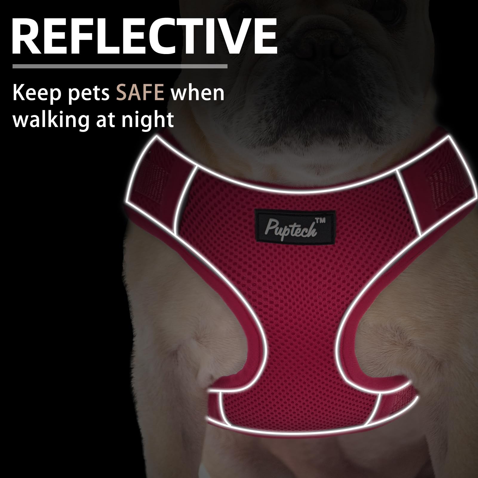 PUPTECK Small Dog Harness and Leash Set, No Pull Adjustable, Soft Mesh Vest, Size M, Fuchsia