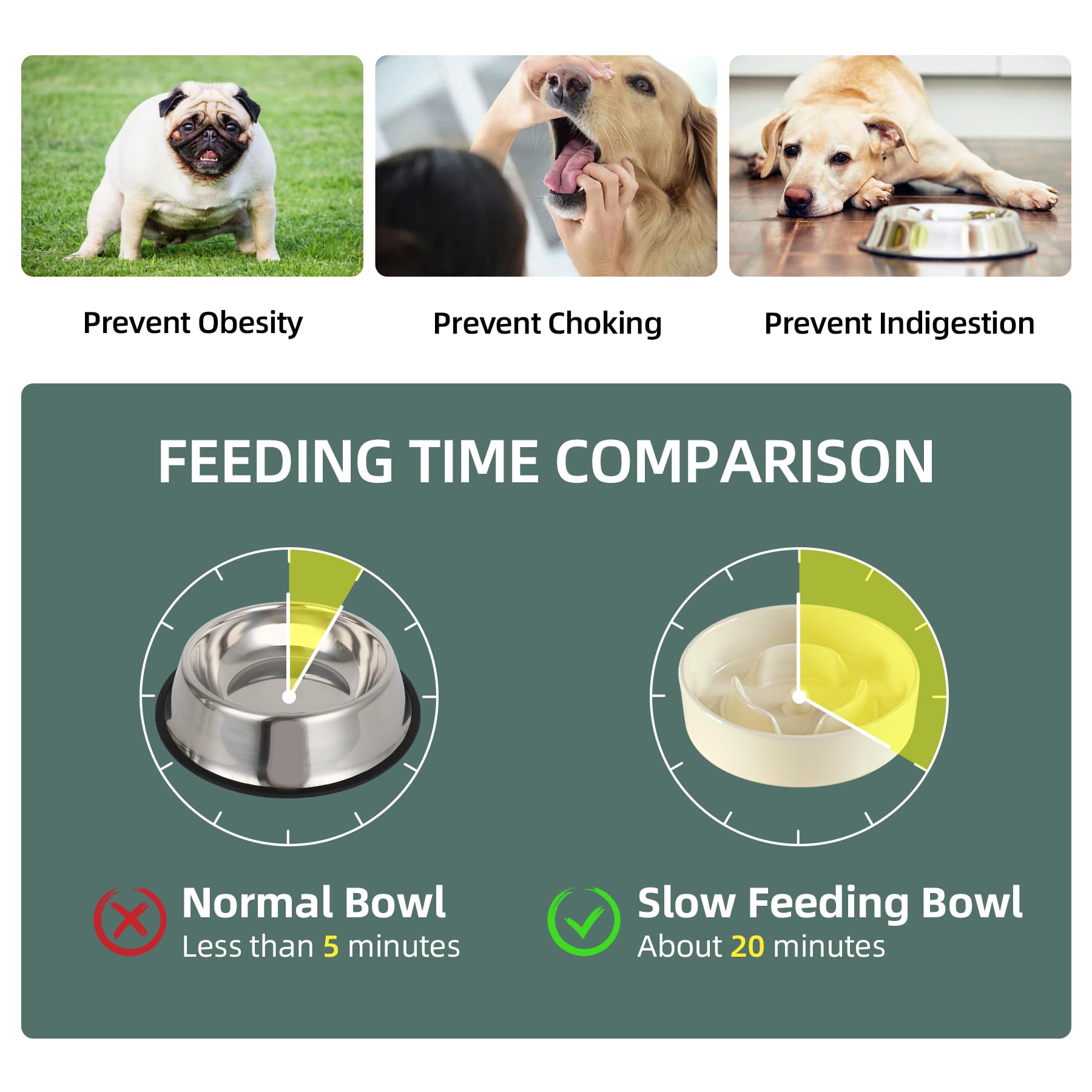 Havniva Ceramic 0.9 Cup Raised Slow Feeder Dog Bowl Set, Elevated 5.1inch Water Bowl and 6.1inch Puzzle Slow Pet Food Dish with