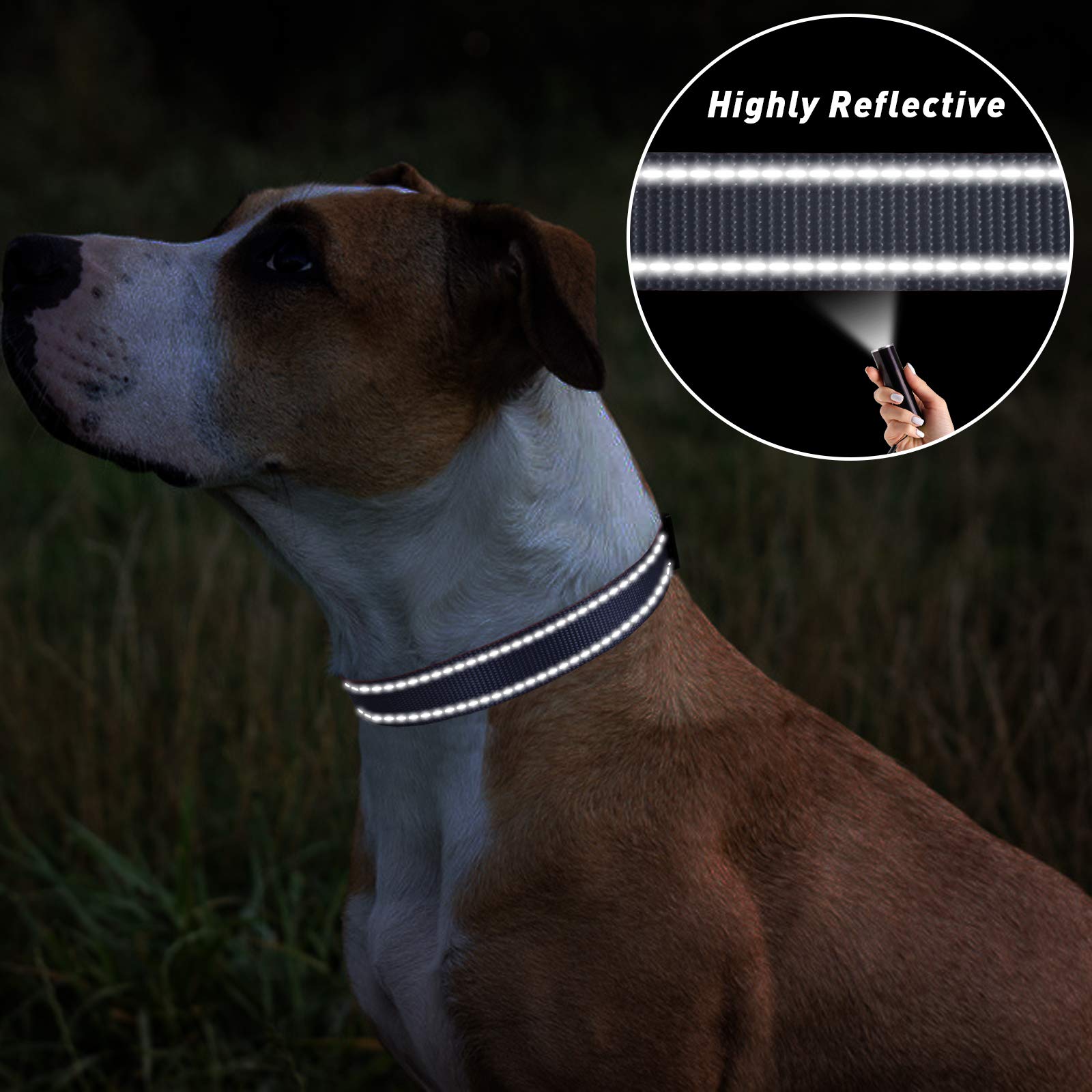 Tagme Reflective Nylon Dog Collars, Adjustable Classic Dog Collar With Quick Release Buckle For Small Dogs, Grey, 3/4' Width