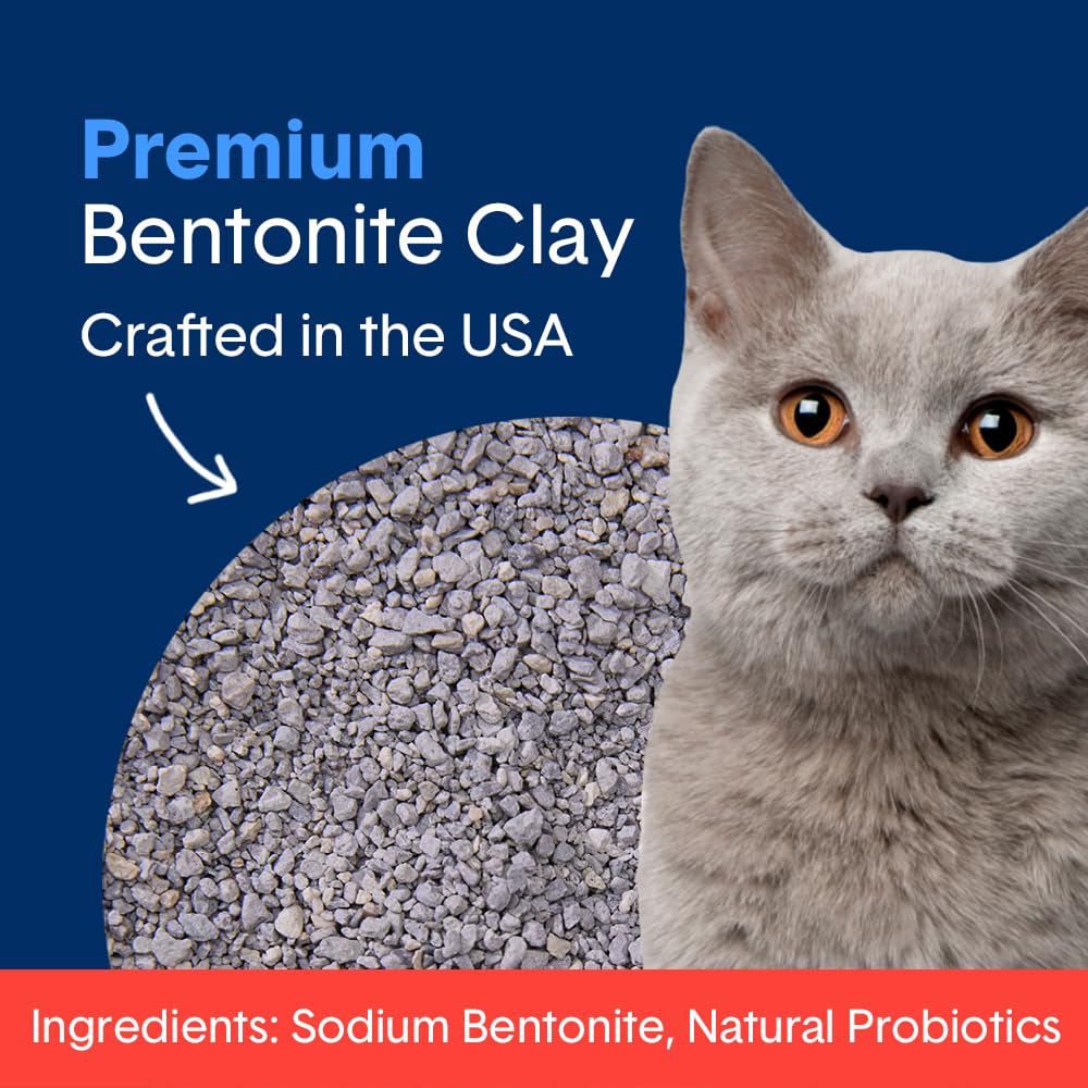 Boxie Extra Strength Cat Litter, 35-Day Odor Control, Clumping Clay, 28Lb