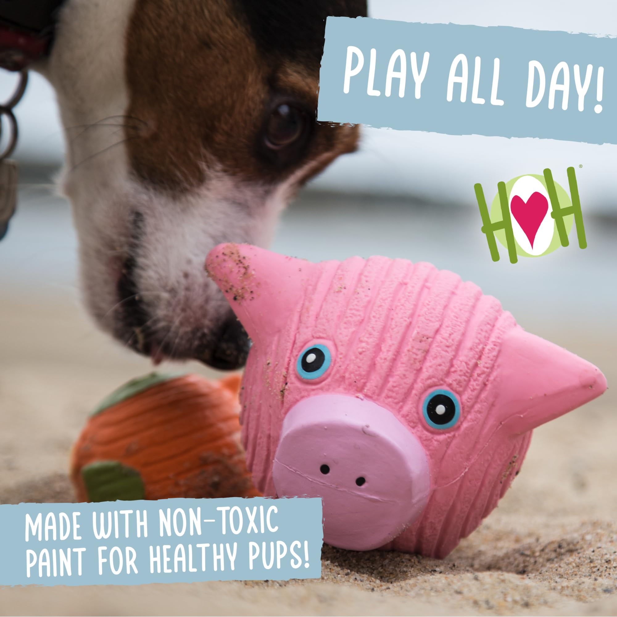HuggleHounds Ruff-Tex Squeaky Tough Dog Chew Toy All Natural, Pig, Small for Large Breeds