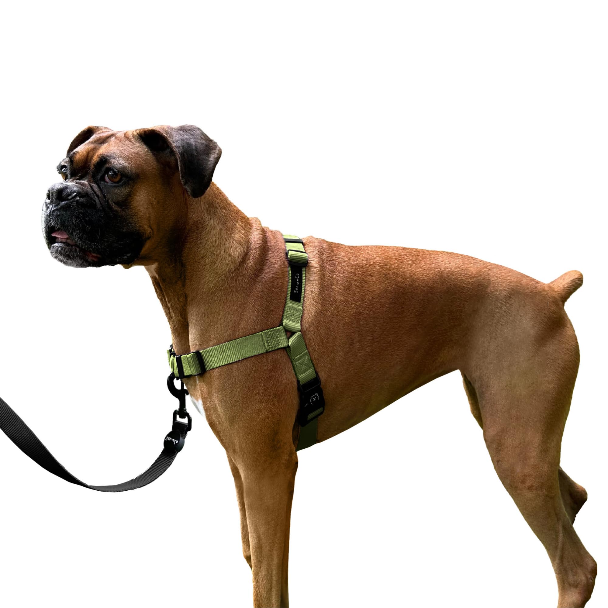 Shawnco Dream Walk No-Pull Dog Harness- Adjustable, Comfortable, Easy To Use Pet Halter To Help Stop Pulling For Small, Medium A