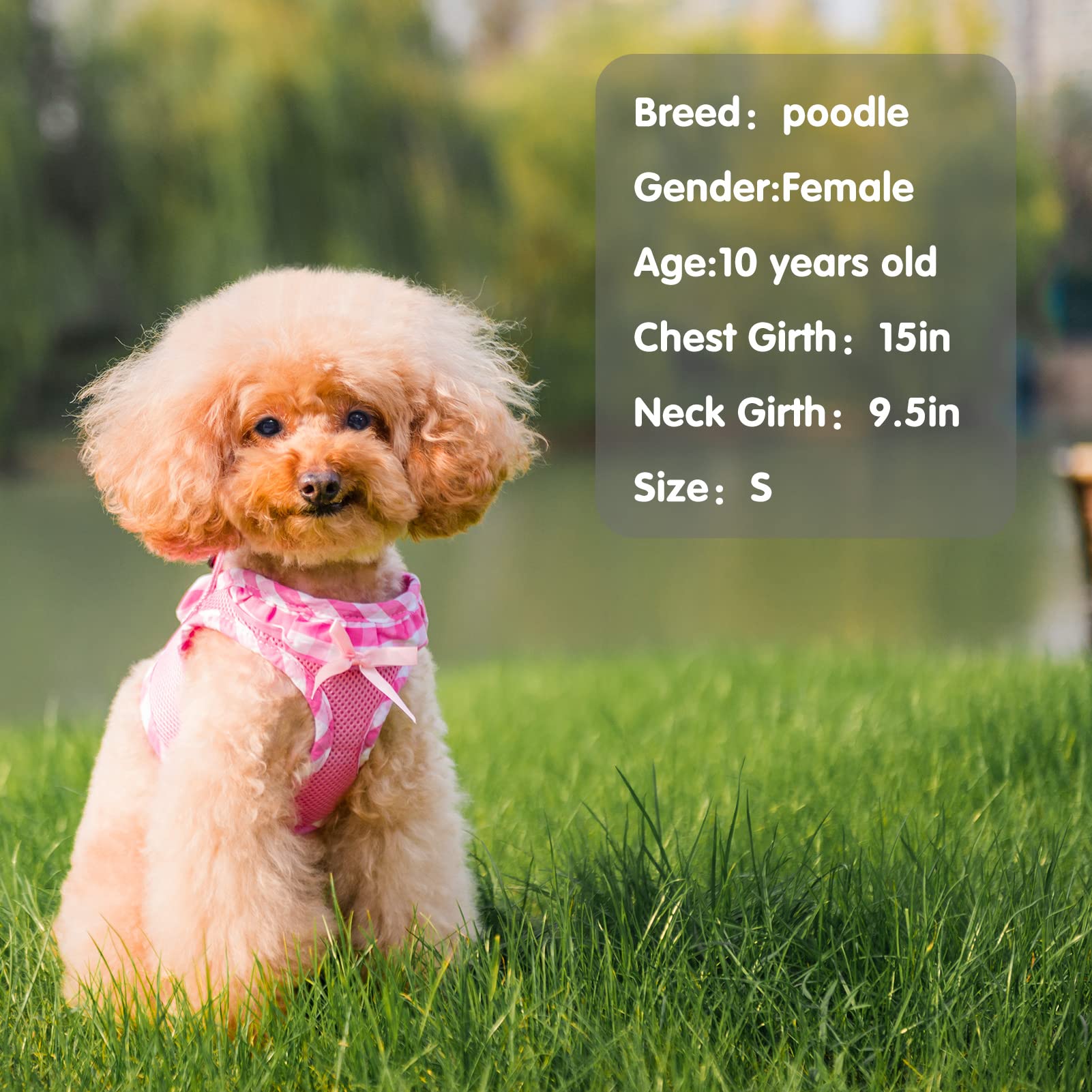 Pupteck Small Dog Harness No Pull Step-In Puppy Cat Harness Soft Mesh For Girls, Pink Xs