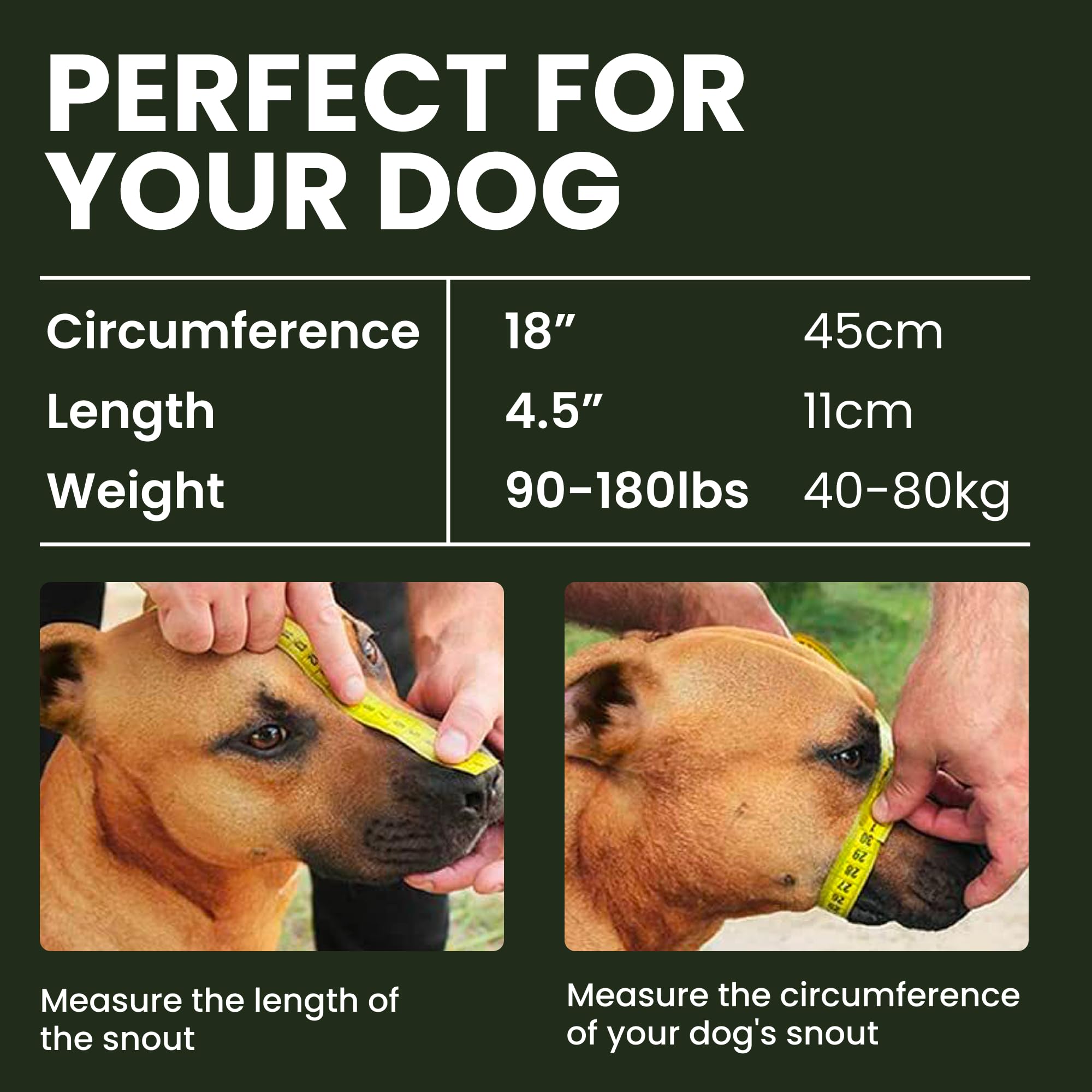 Bronzedog Dog Muzzle Adjustable Durable Metal Wire Basket For Large And Extra Large Dogs With Leather Straps Breathable, Drinkable, Training, Prevents Biting (Stainless Steel, Great Dane)