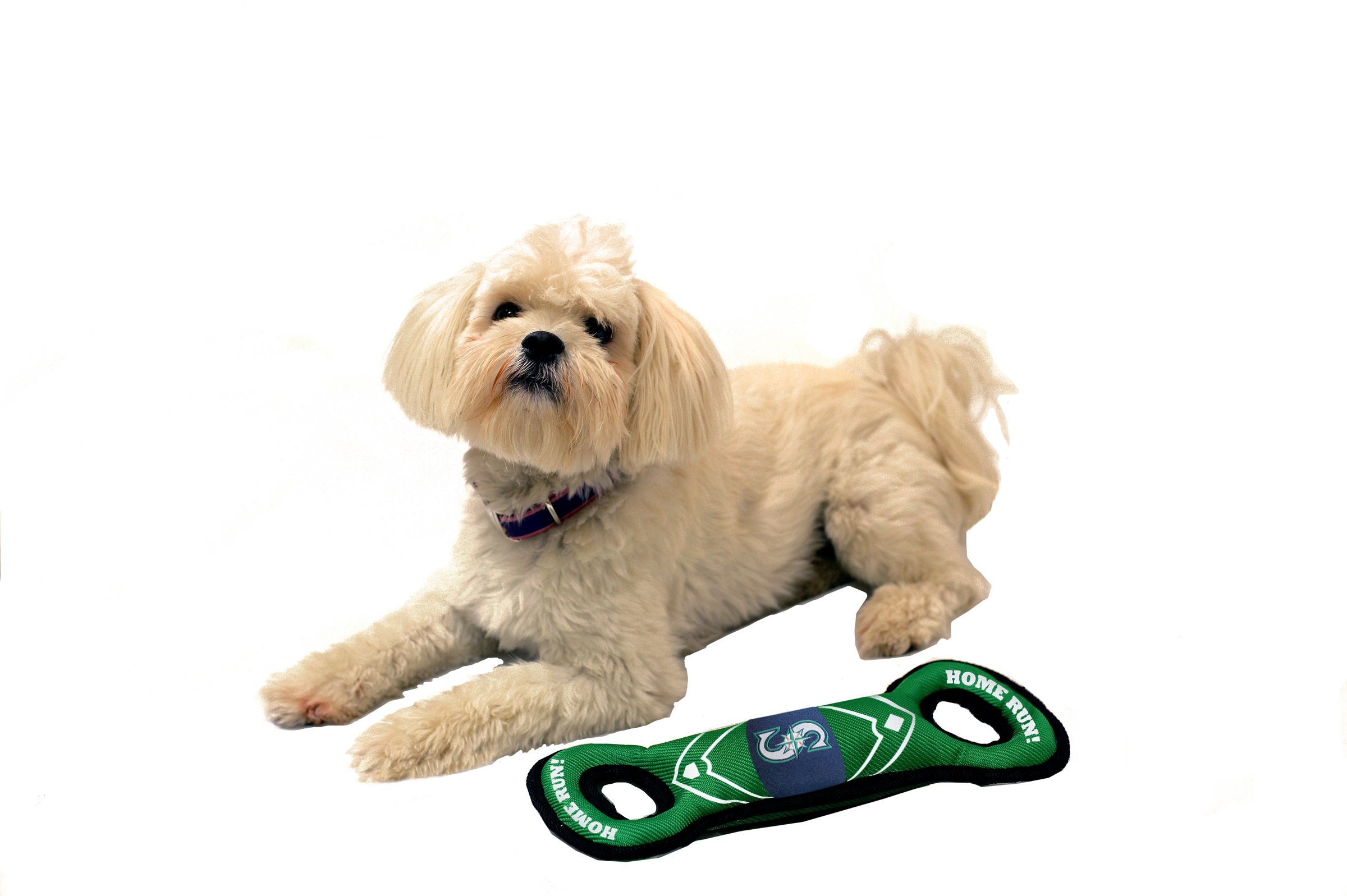 Mlb Seattle Mariners Baseball Field Dog Toy With Double Rim Stitching & Inner Squeaker