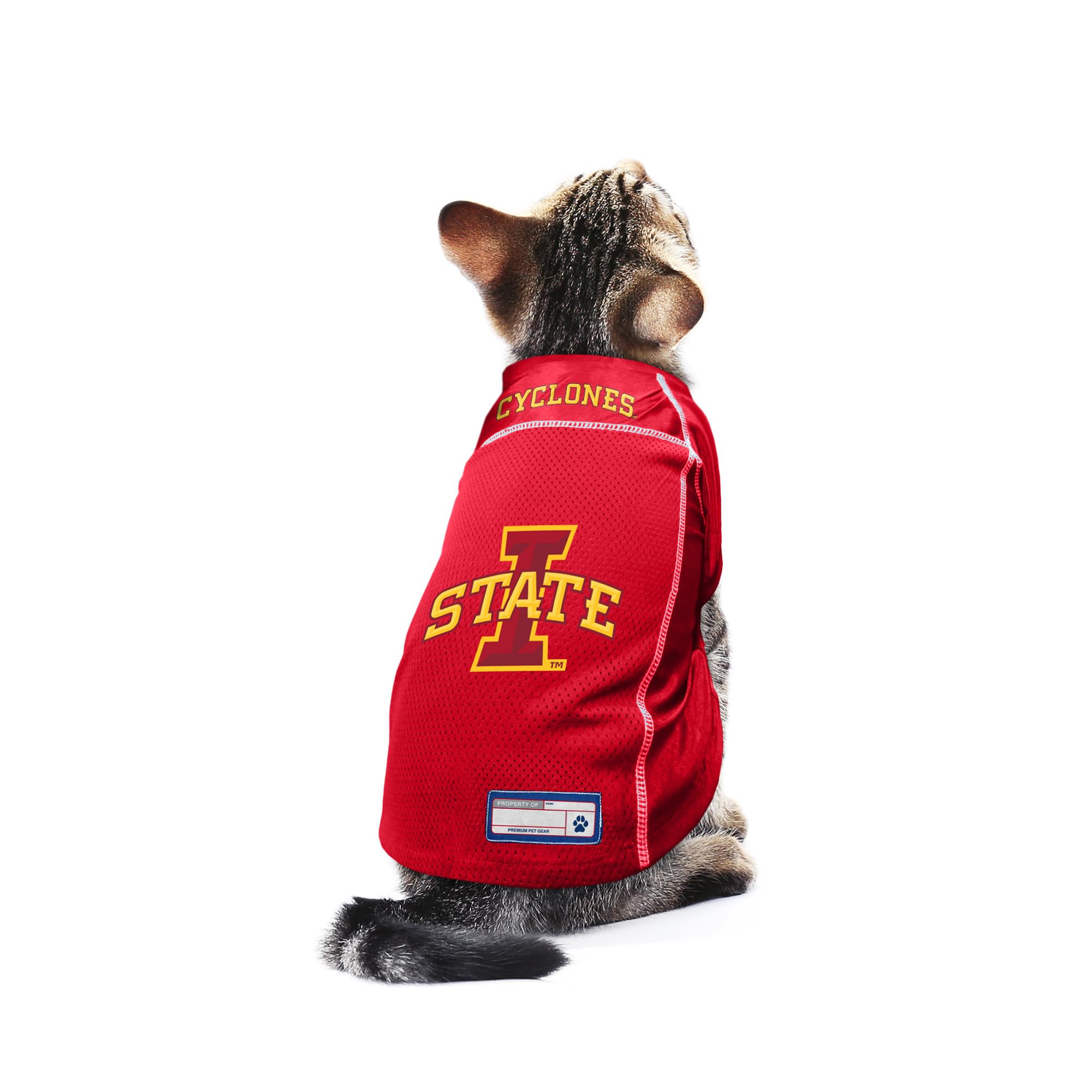 Littlearth Iowa State Cyclones Ncaa Basic Pet Jersey