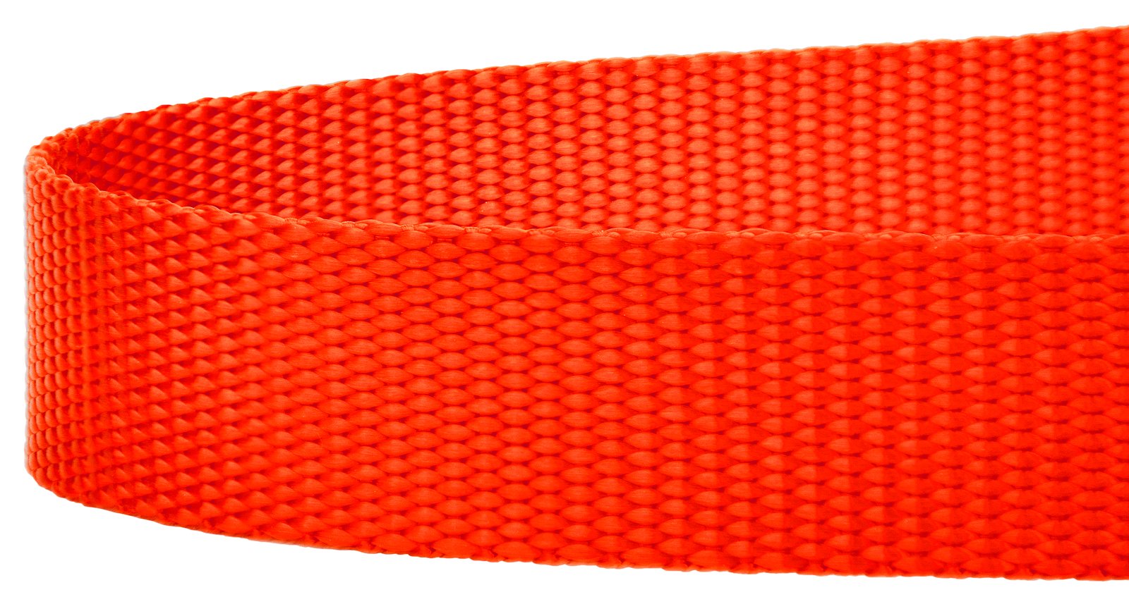Country Brook Petz - 1 Inch Solid Color Nylon Dog Leash - Durable Clip - Soft Handle (1 Inch Wide, 4 Foot, Hot Orange)