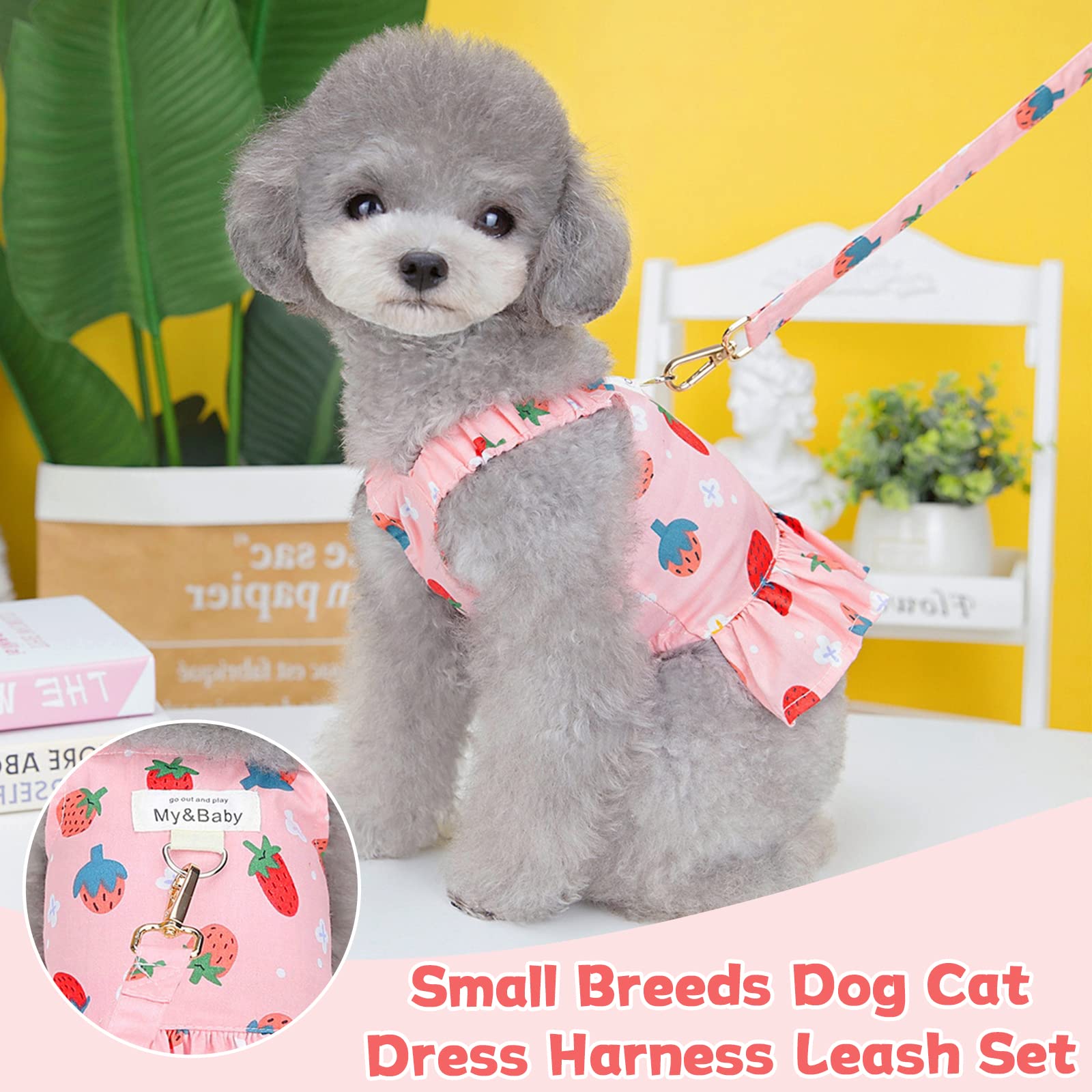 Petpubgnzs Small Dog Dress Harness And Leash Set - Cute Princess Birthday Dresses, Soft Fruit Print Puppy Clothes For Cats, Chih